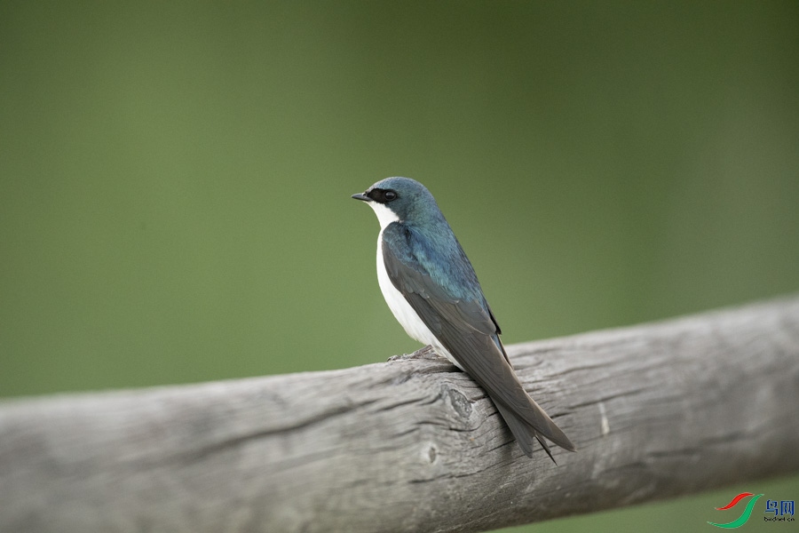 DSC_7631.jpg
