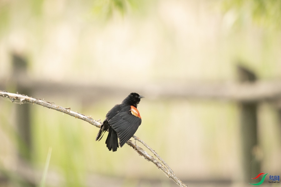 DSC_7809_1.jpg
