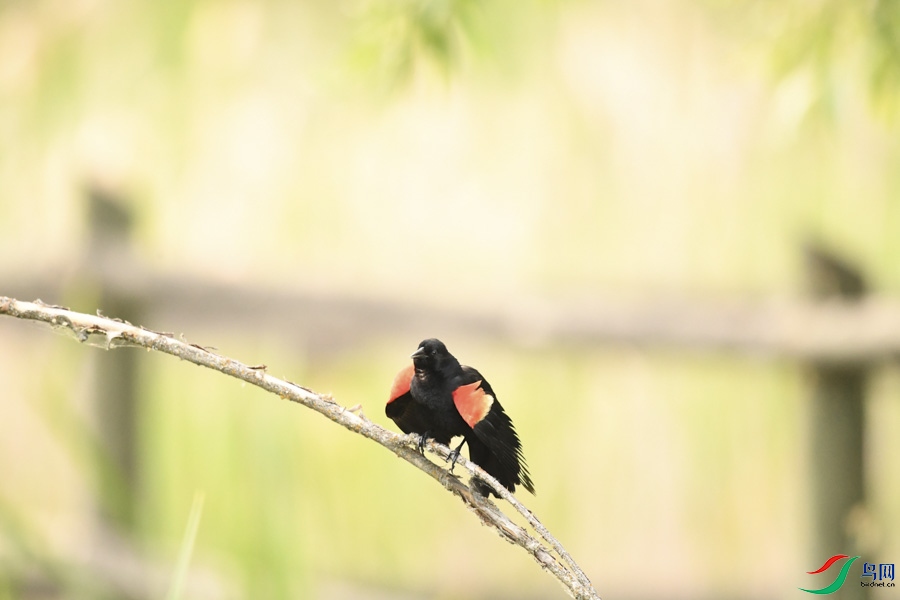 DSC_7781.jpg