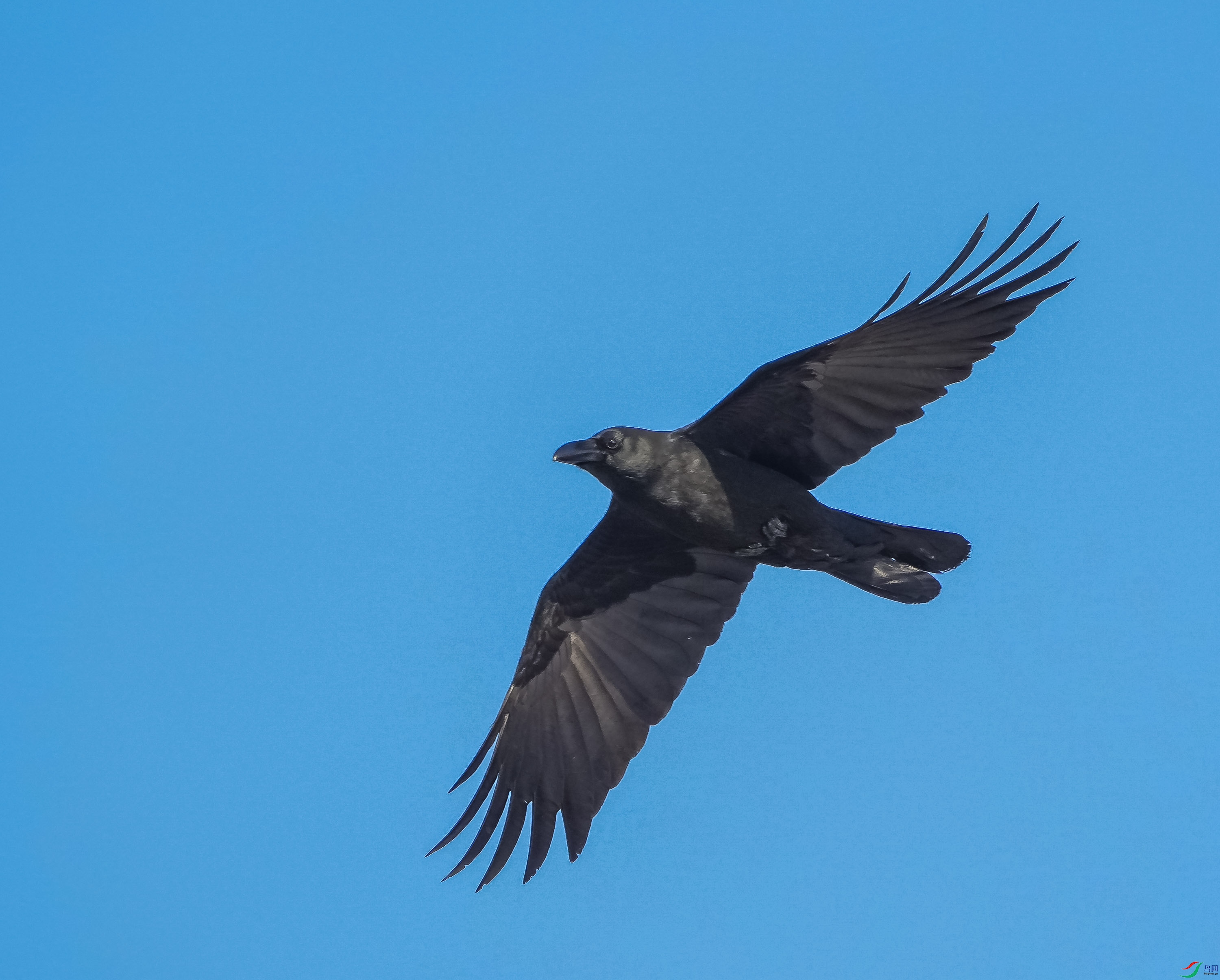 ������ѻ-7 (2).jpg