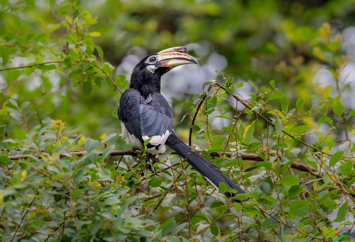 DSC_41571.jpg