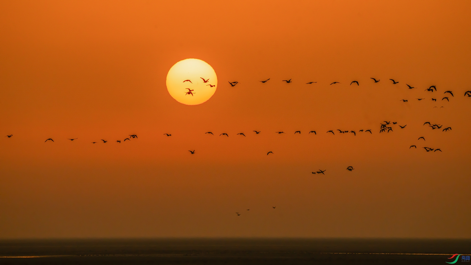 ���㴩̫��