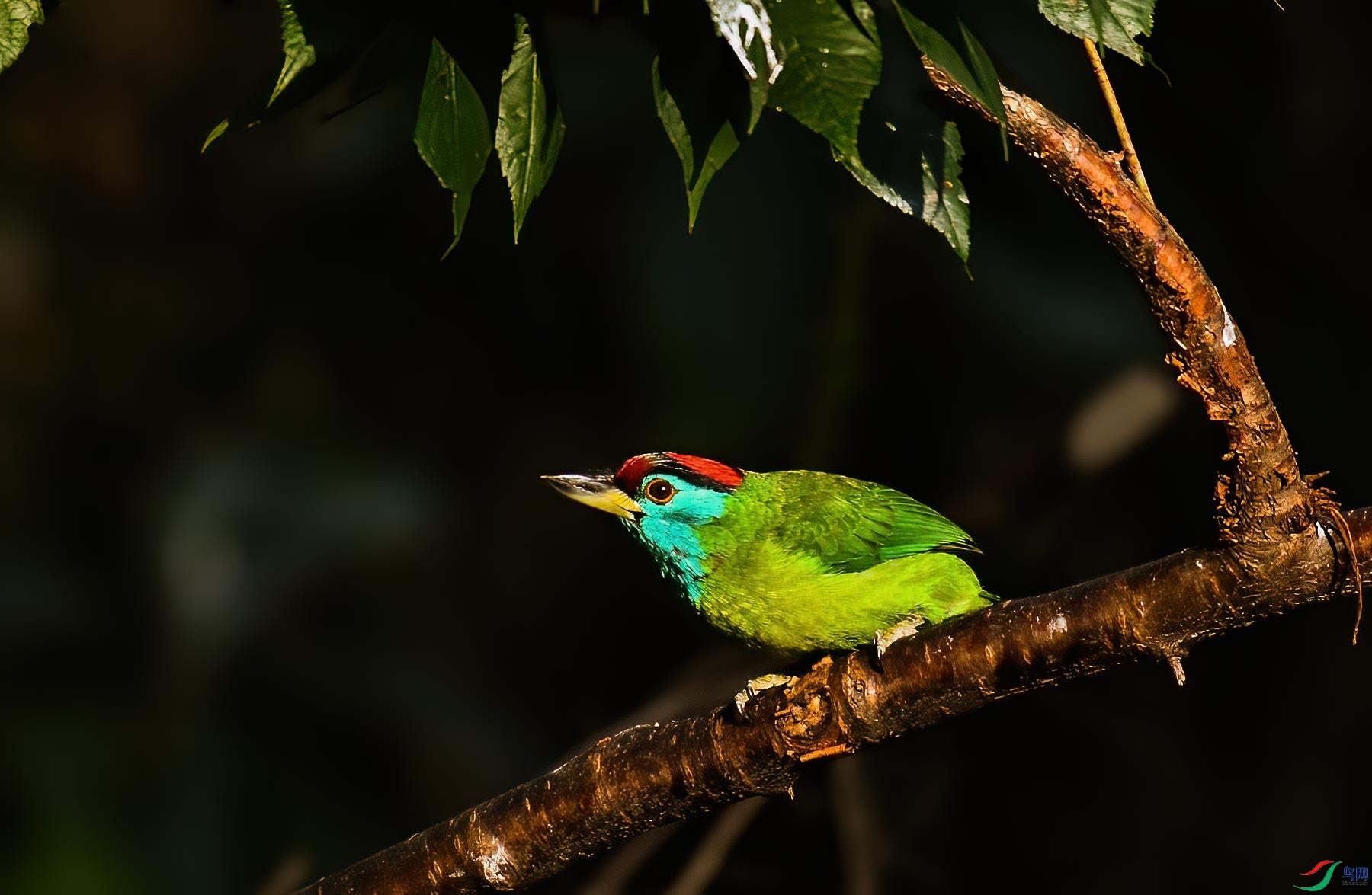 DSC_1615.jpg