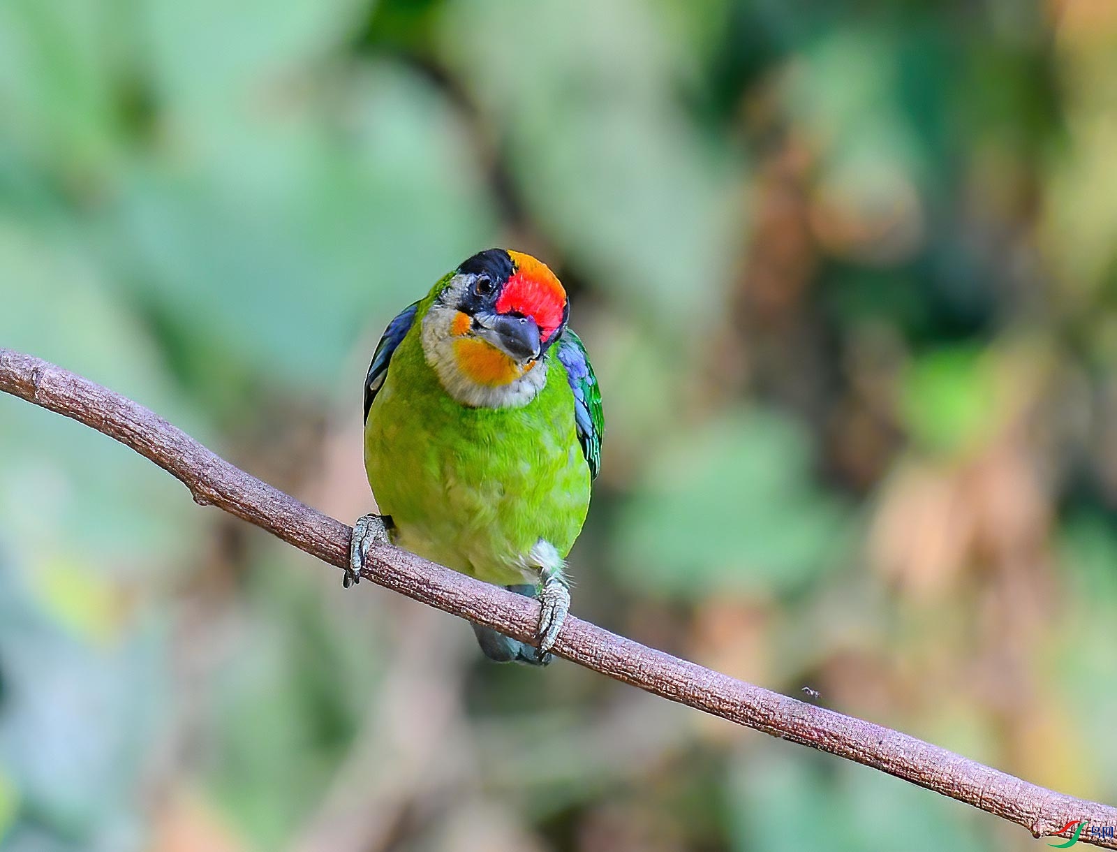 DSC_1590.jpg