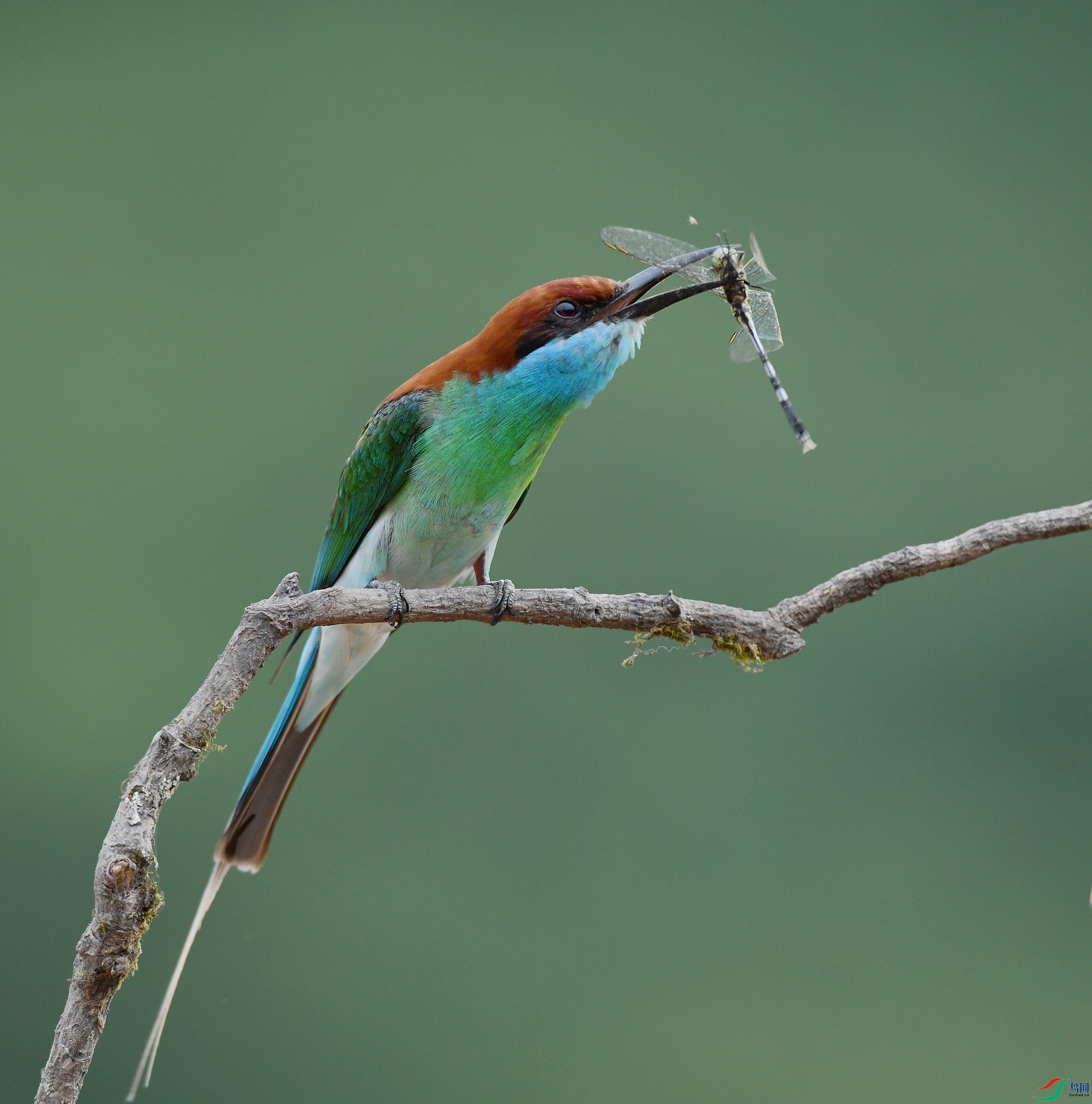 DSC_0752.jpg