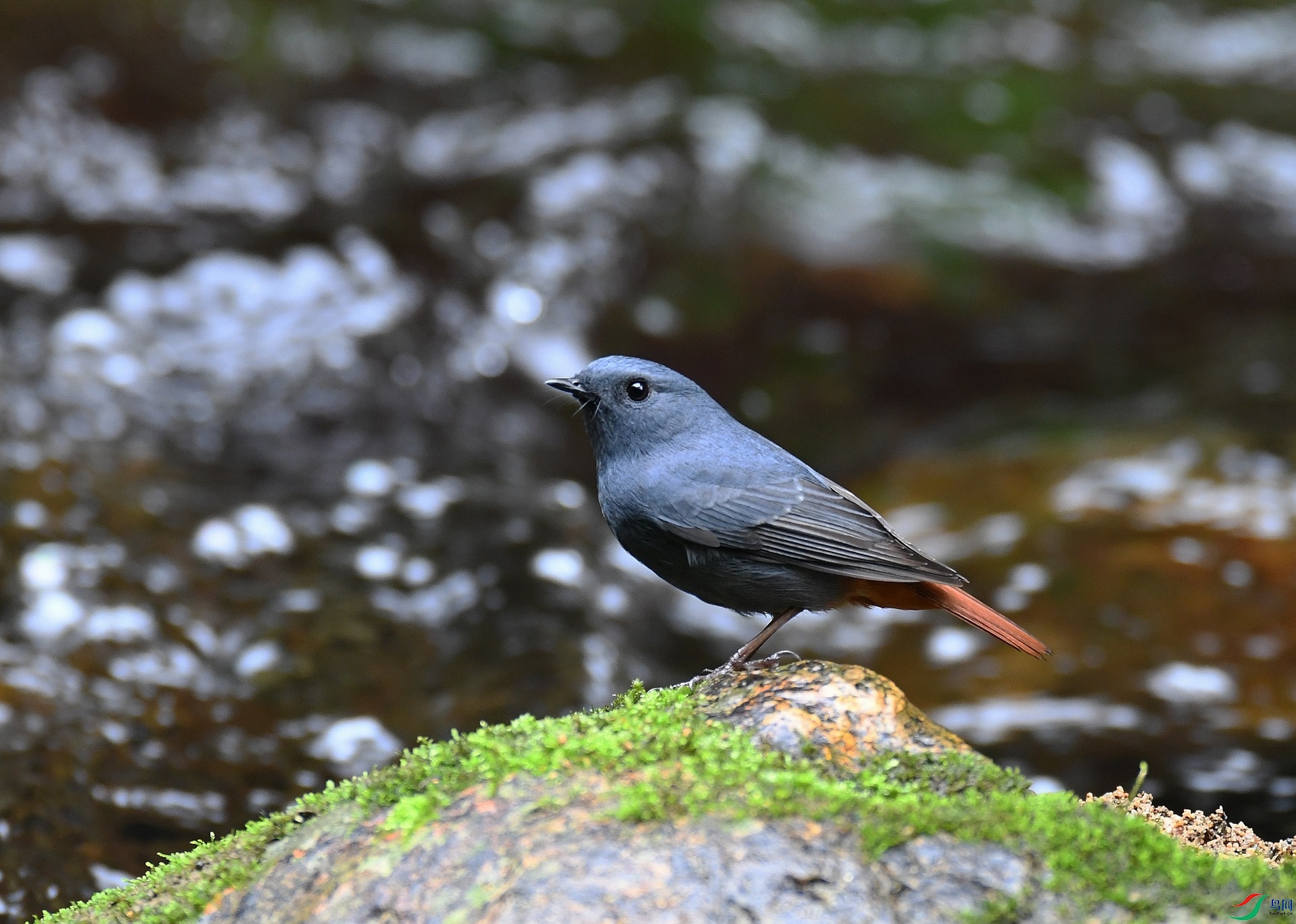 DSC_0810.jpg