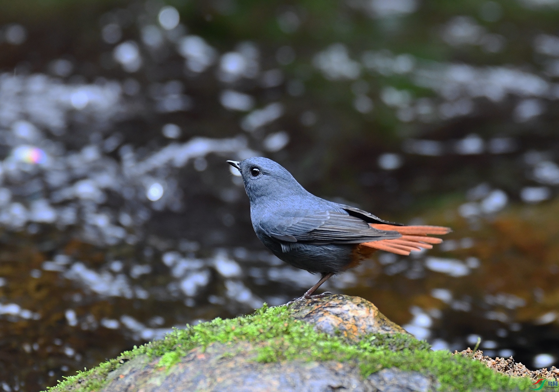 DSC_0808.jpg
