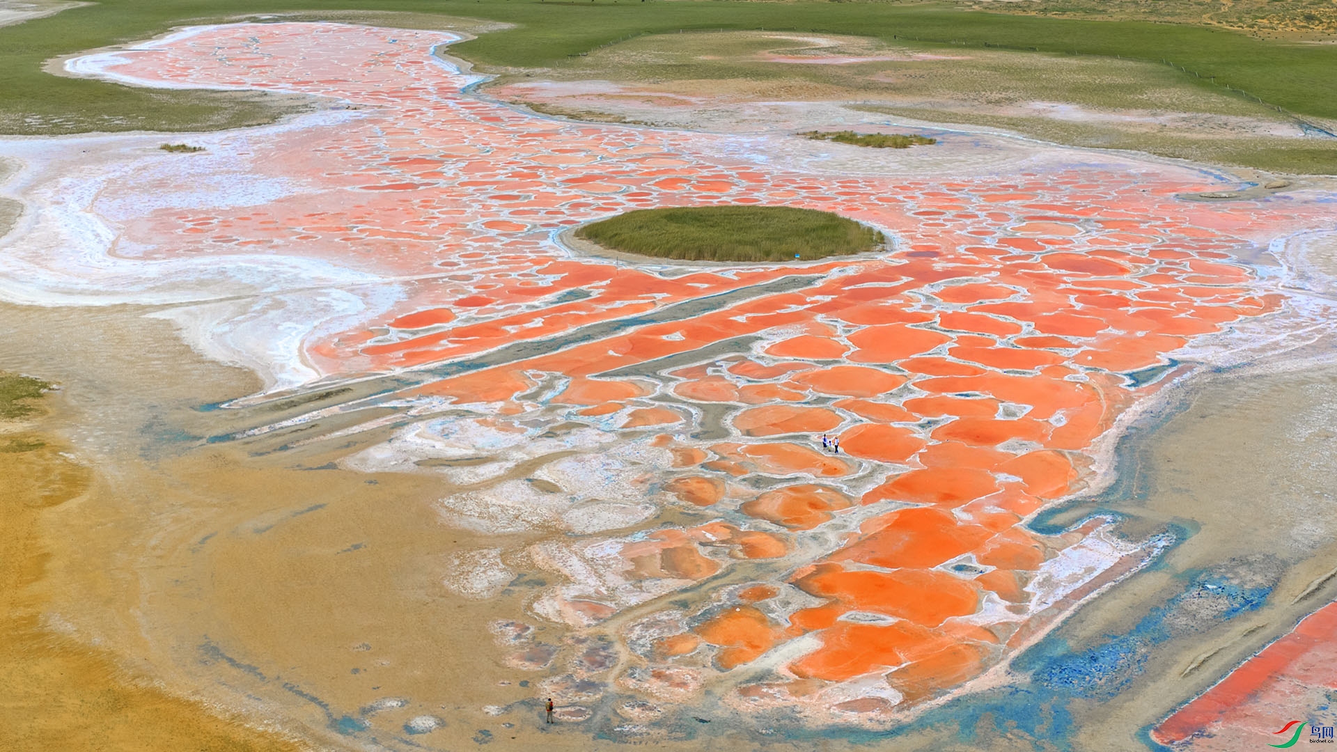 DJI_20250818130206_0065_D ����.jpg