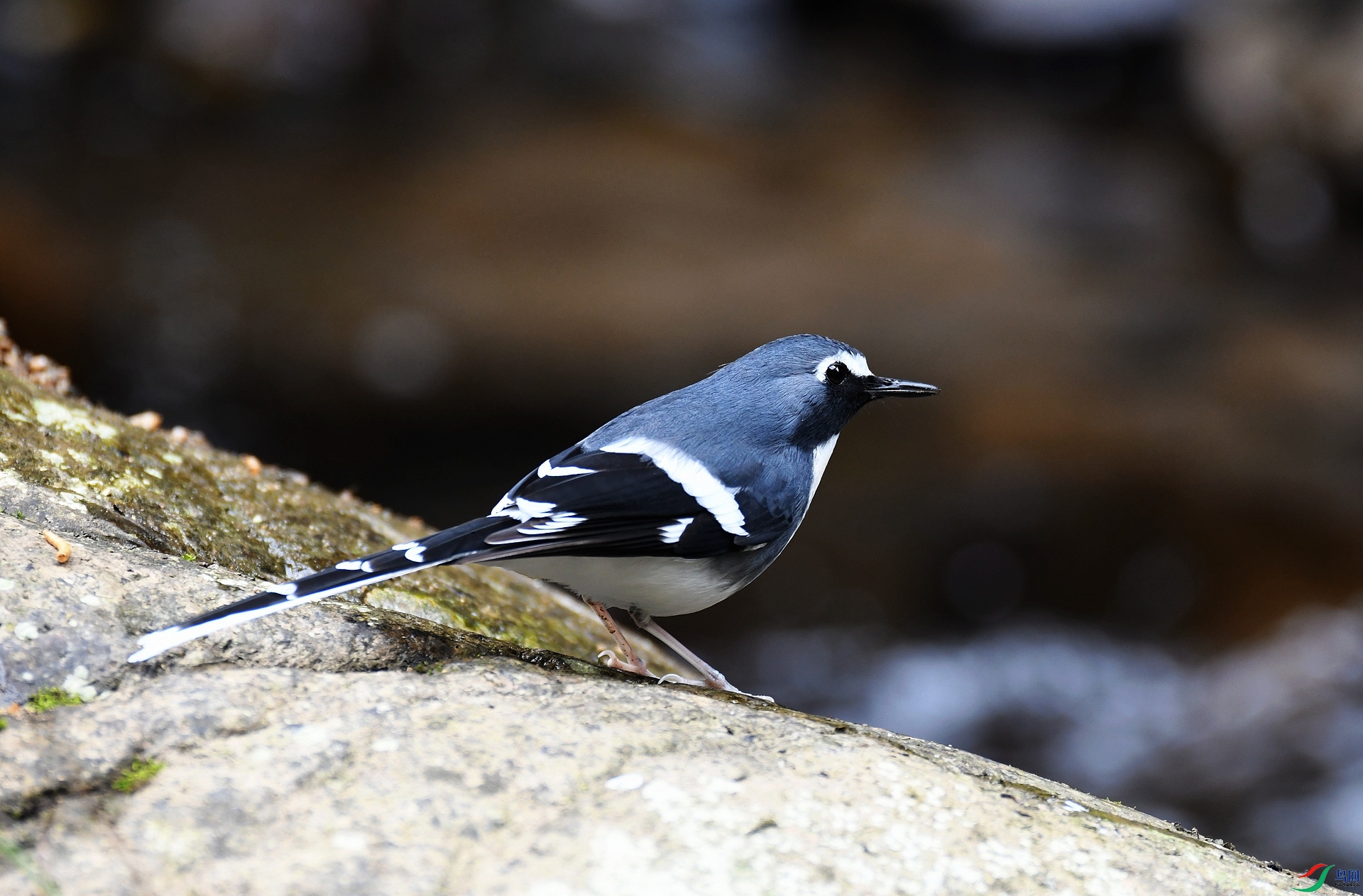 DSC_0836.jpg