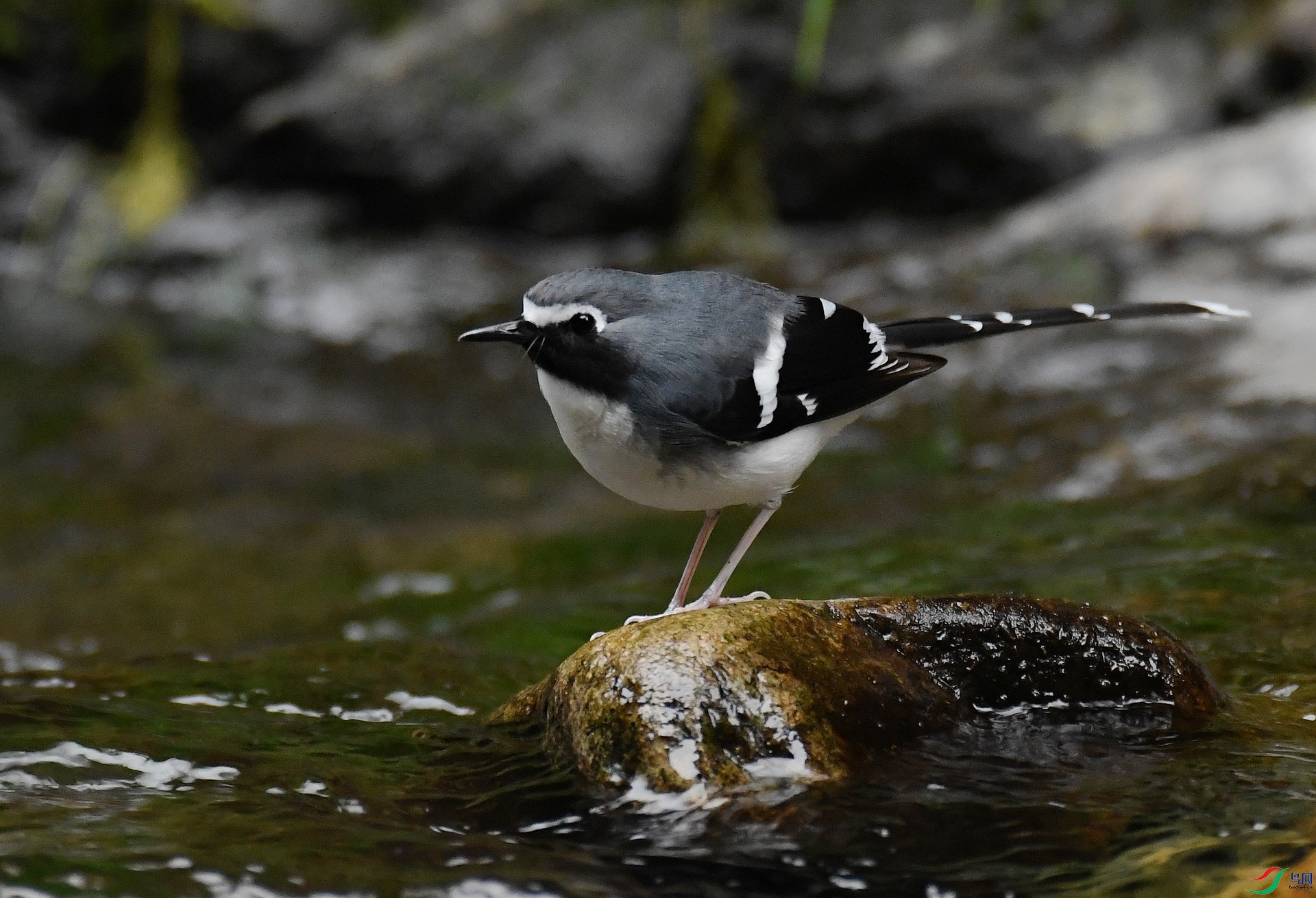 DSC_1407.jpg