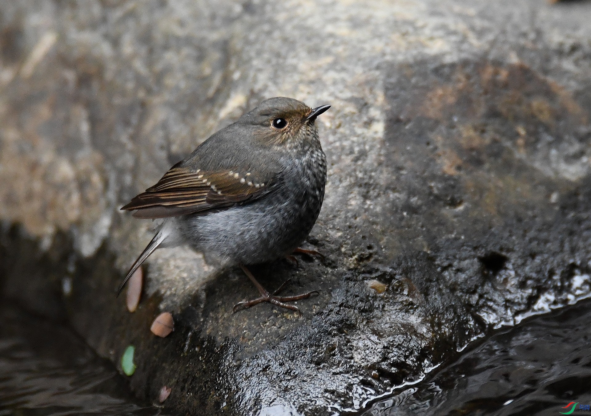 DSC_1408.jpg