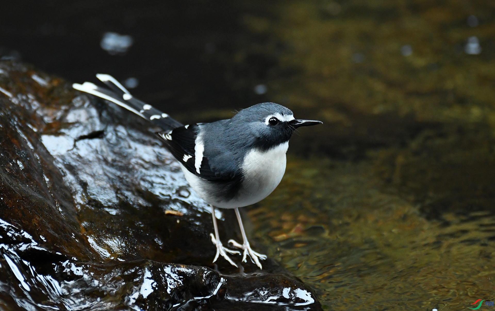 DSC_8649.jpg