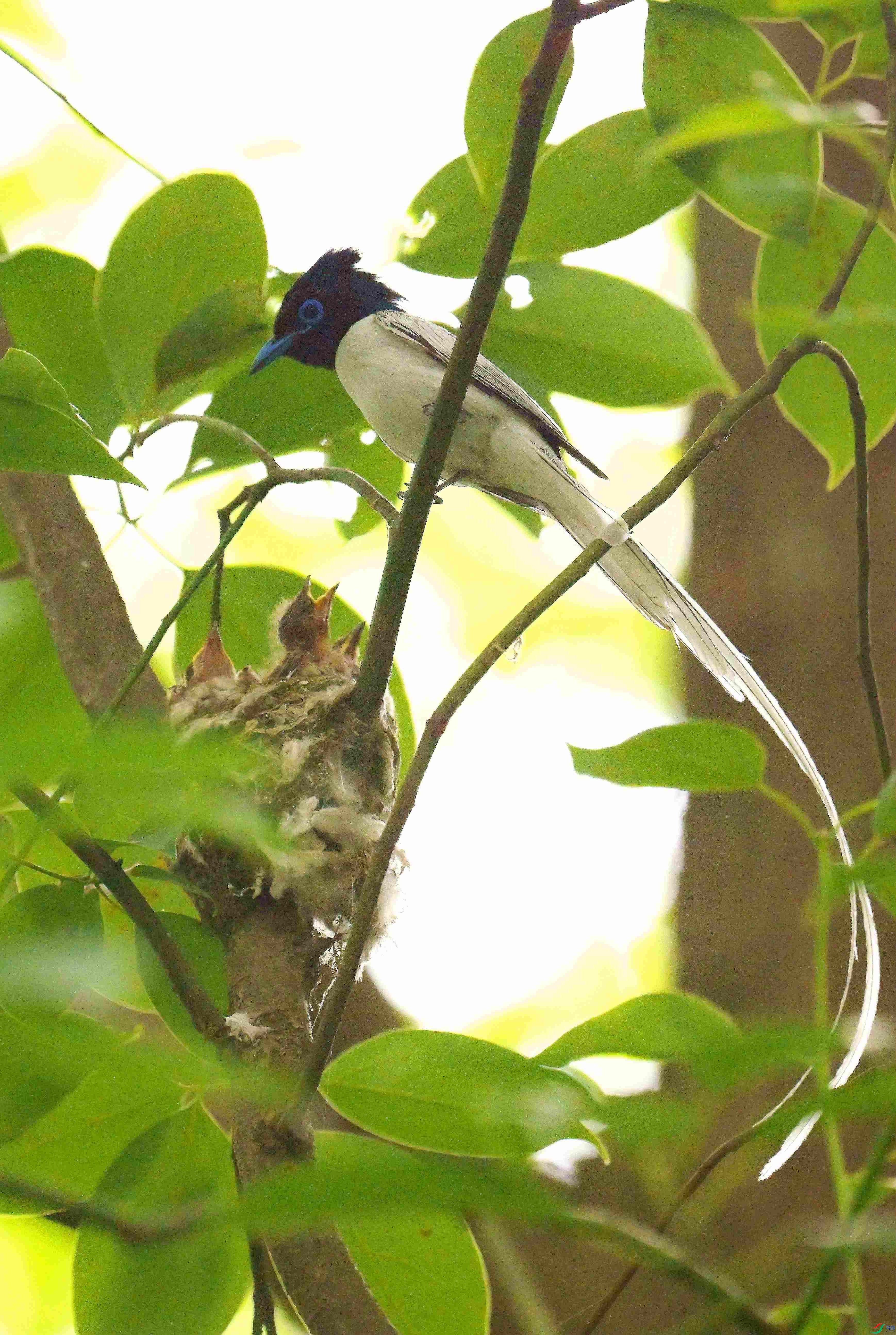 DSC_8923.jpg