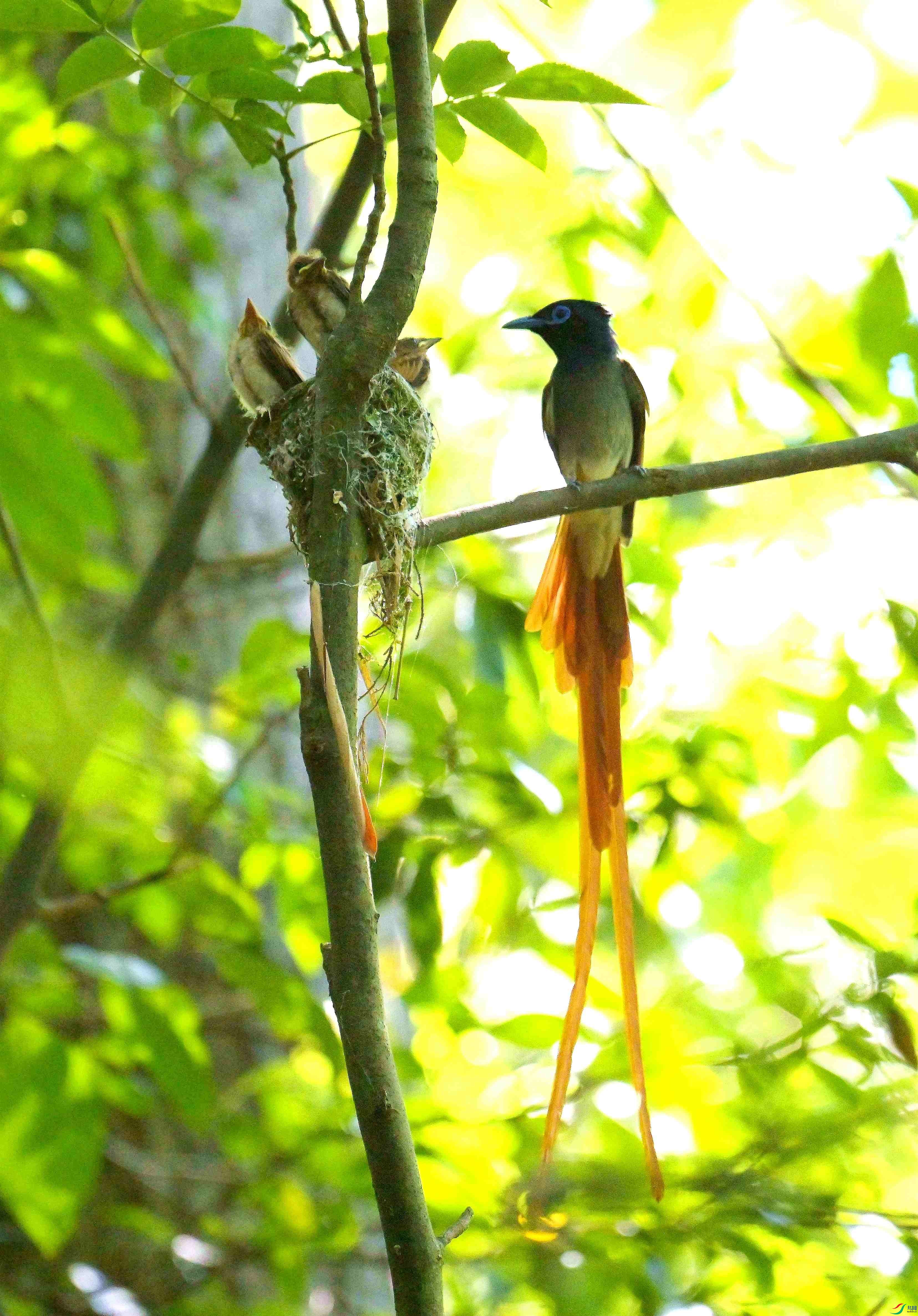 DSC_6311.jpg