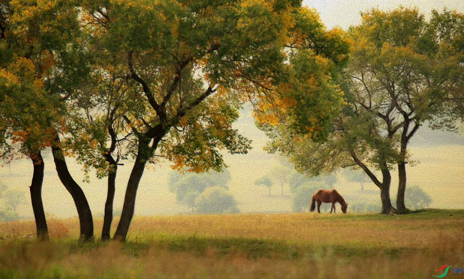 A68O6896 ����.jpg