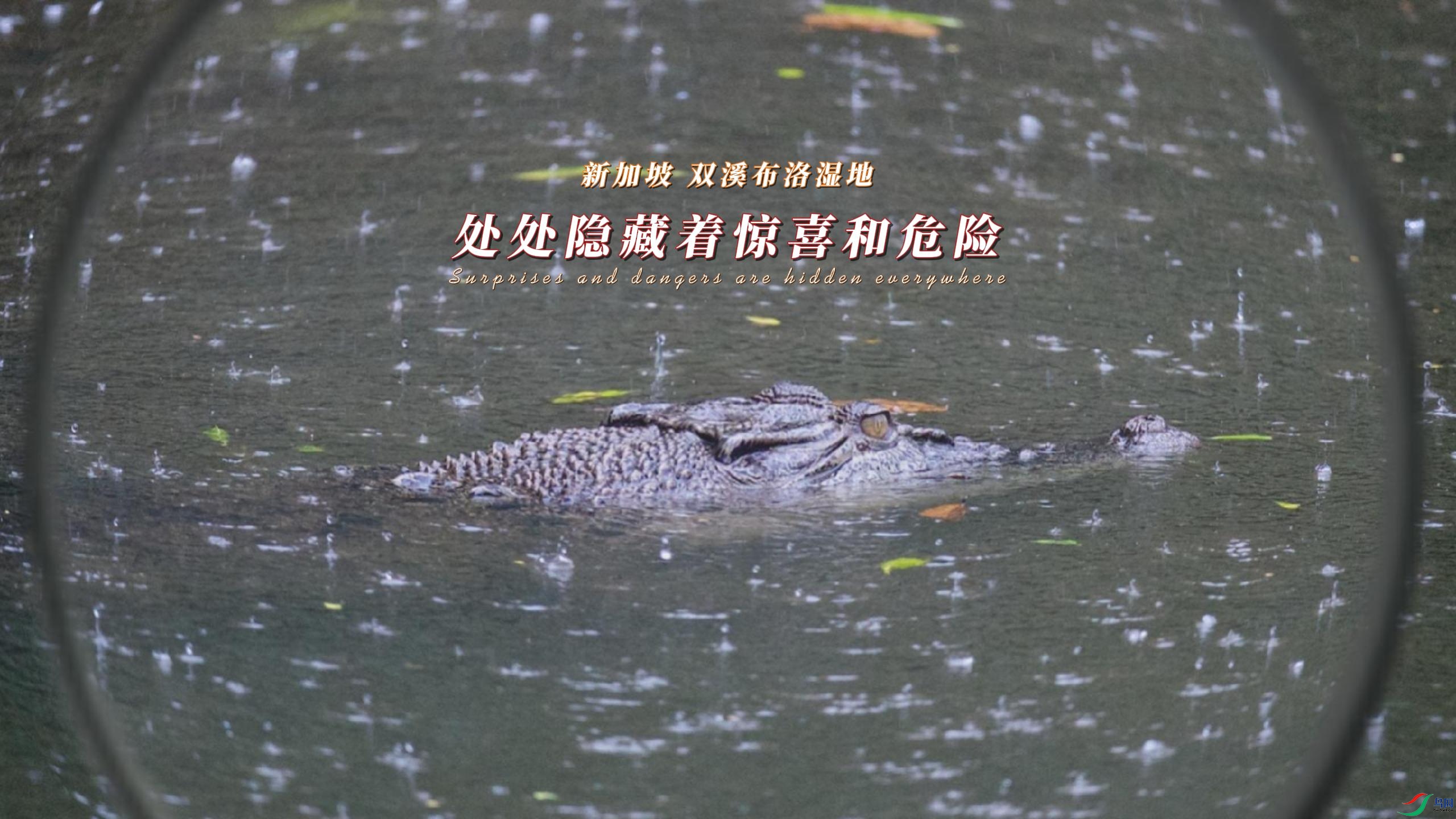 �¼��� ˫Ϫ����ʪ�� ���������ž�ϲ��Σ��-����.jpg