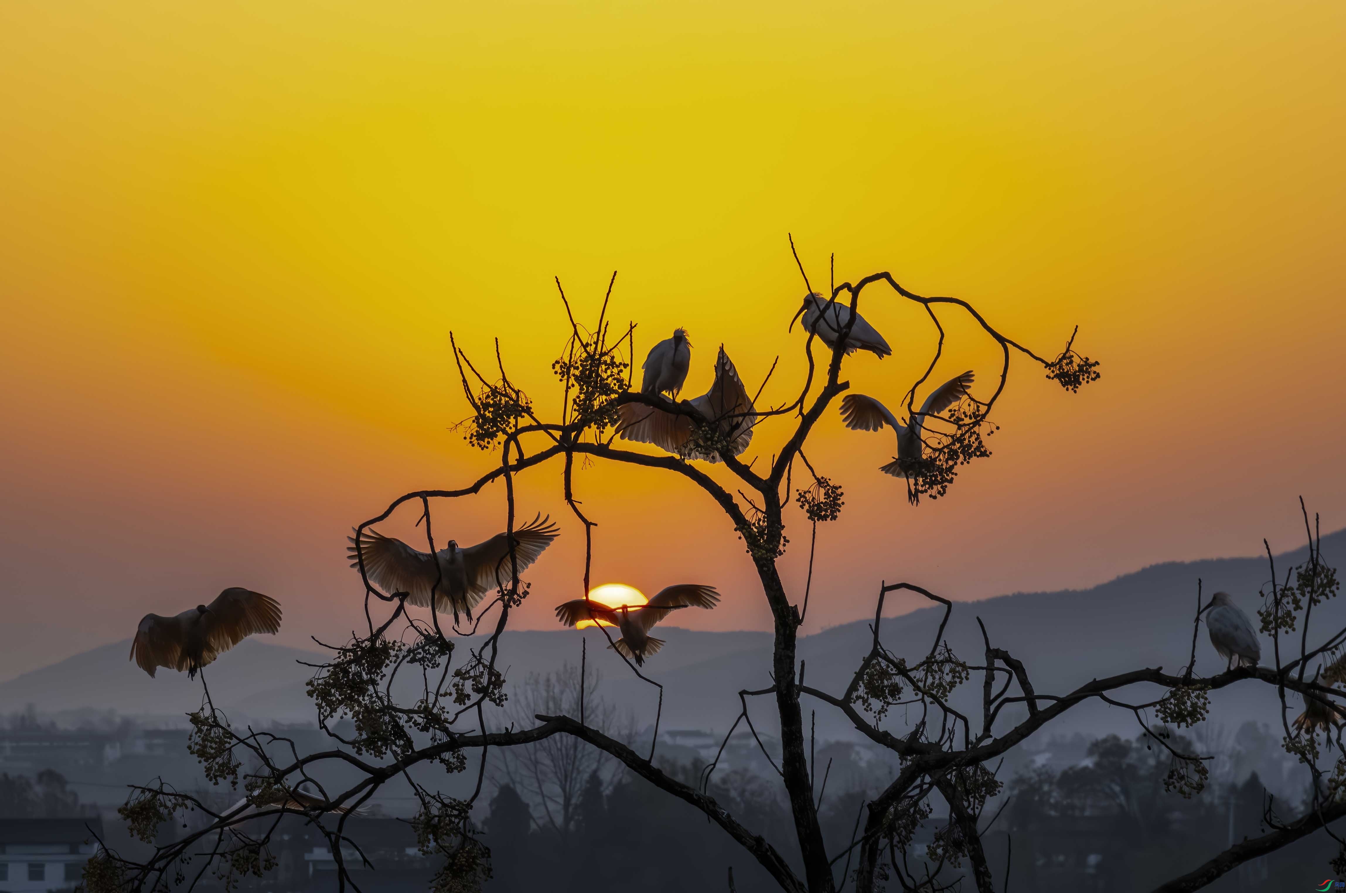 DSC_2129 ����.jpg