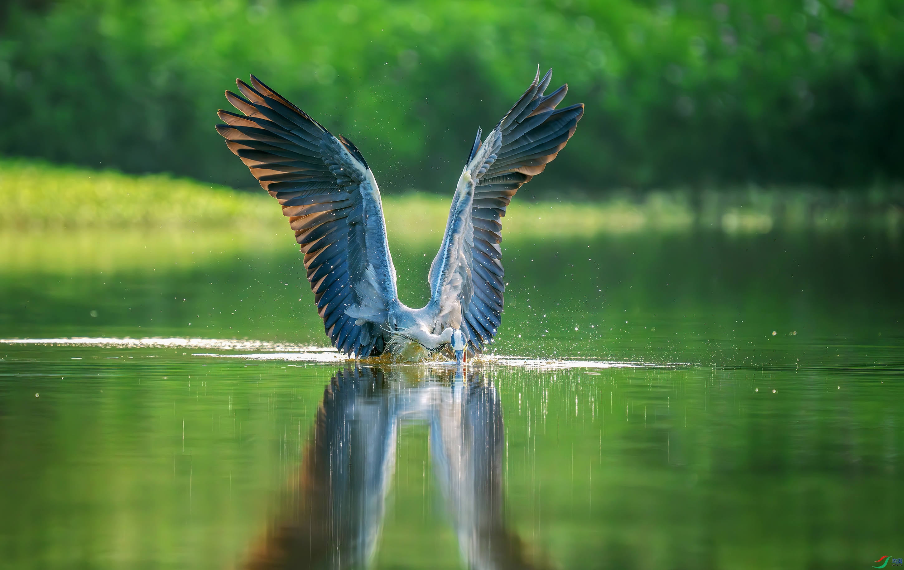 _DSC8088 ����.jpg