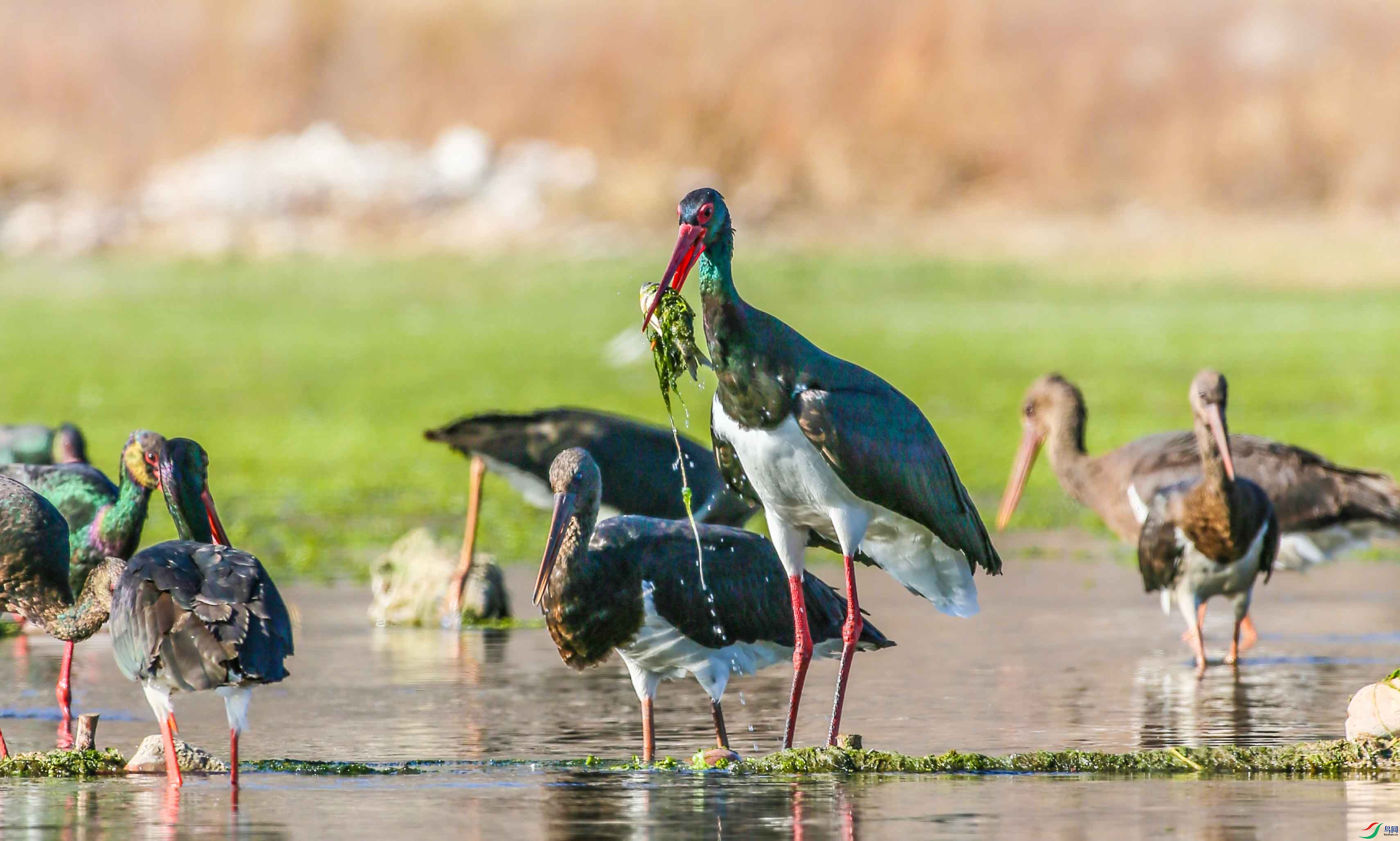 �����ˮ�����.jpg