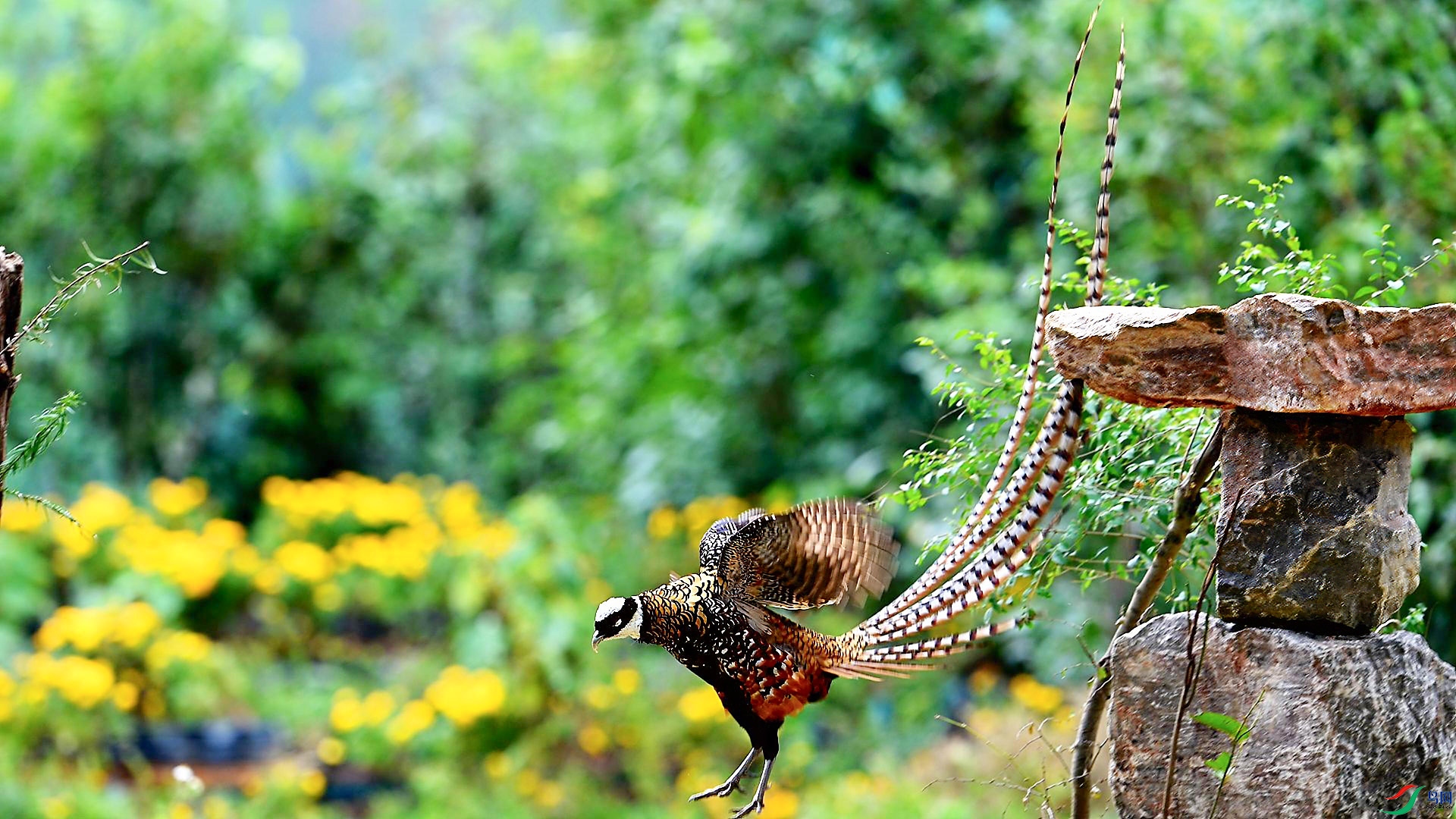 12��1�� (3)-���� ����.jpg