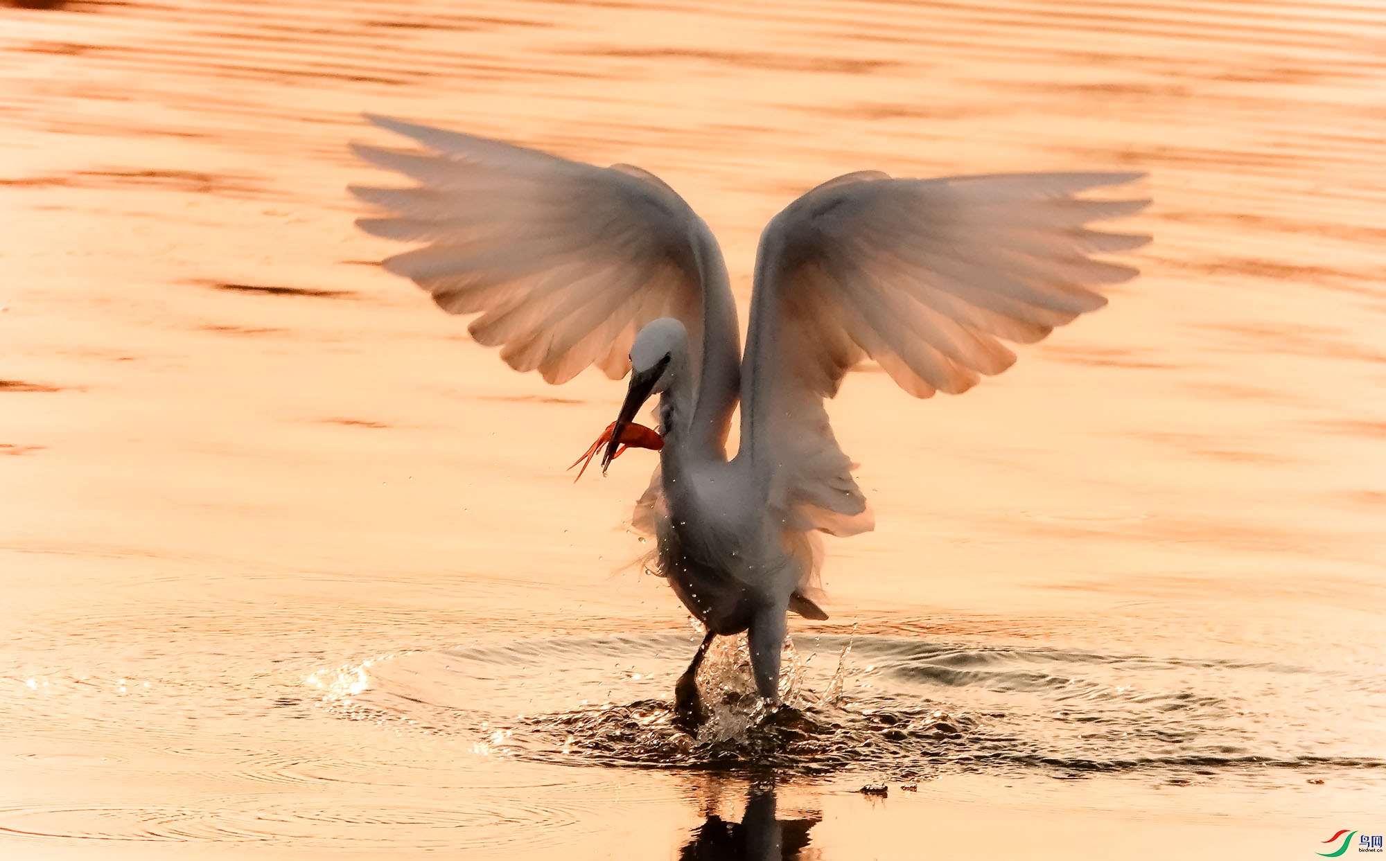 ���ŵİ������ʱ��