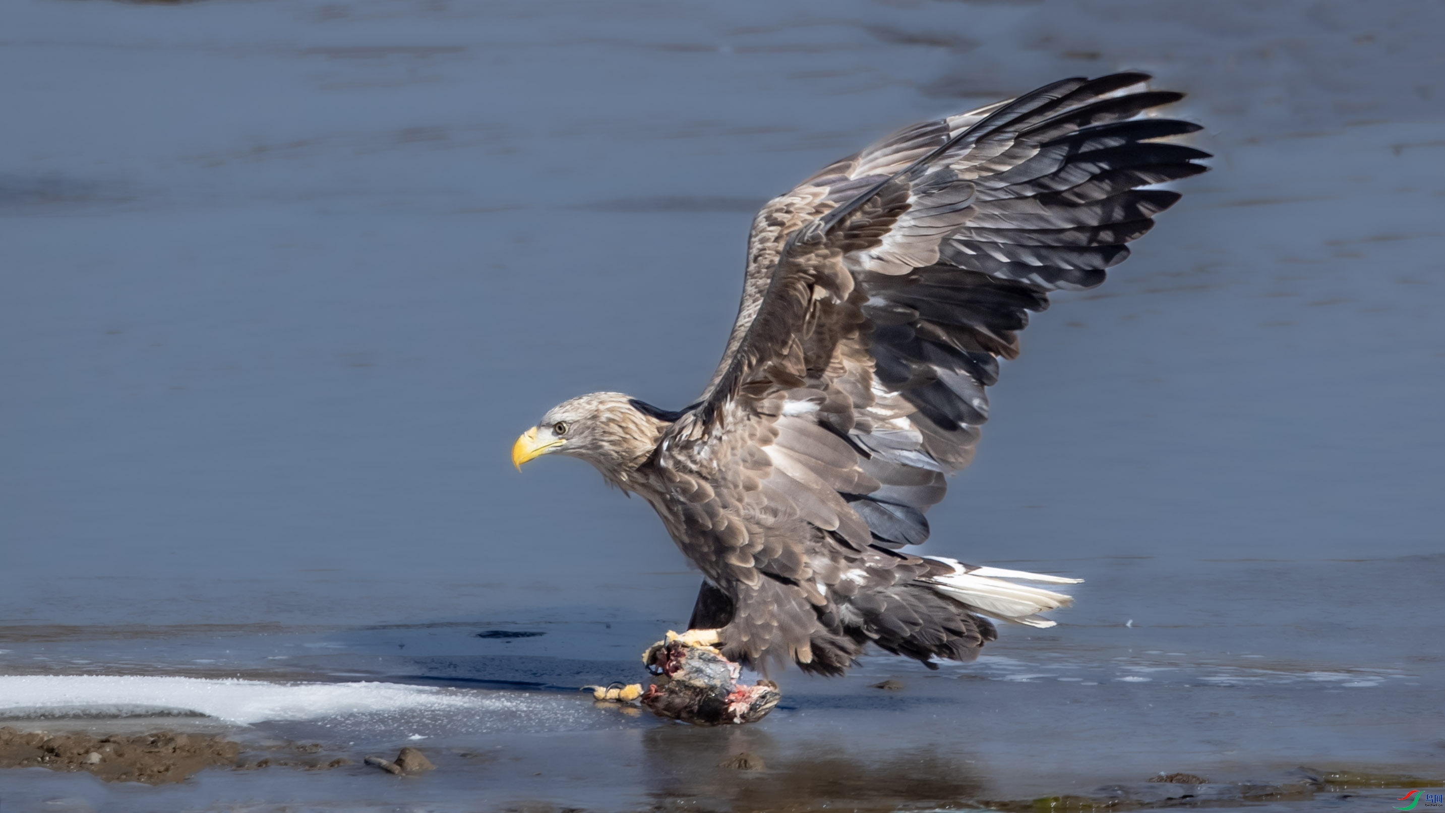 B26I7297 ��β����0017.jpg