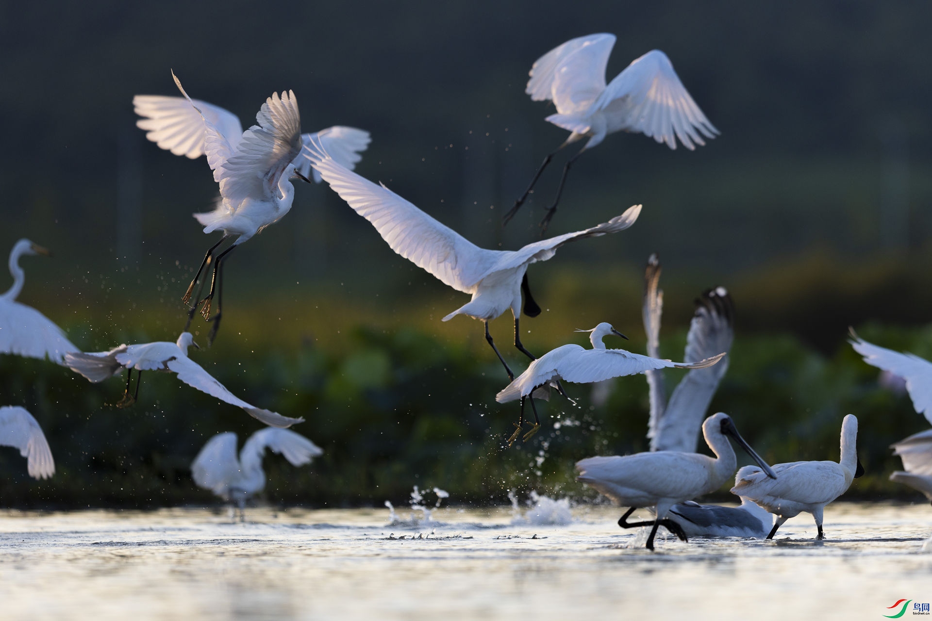 ������Ӱ05