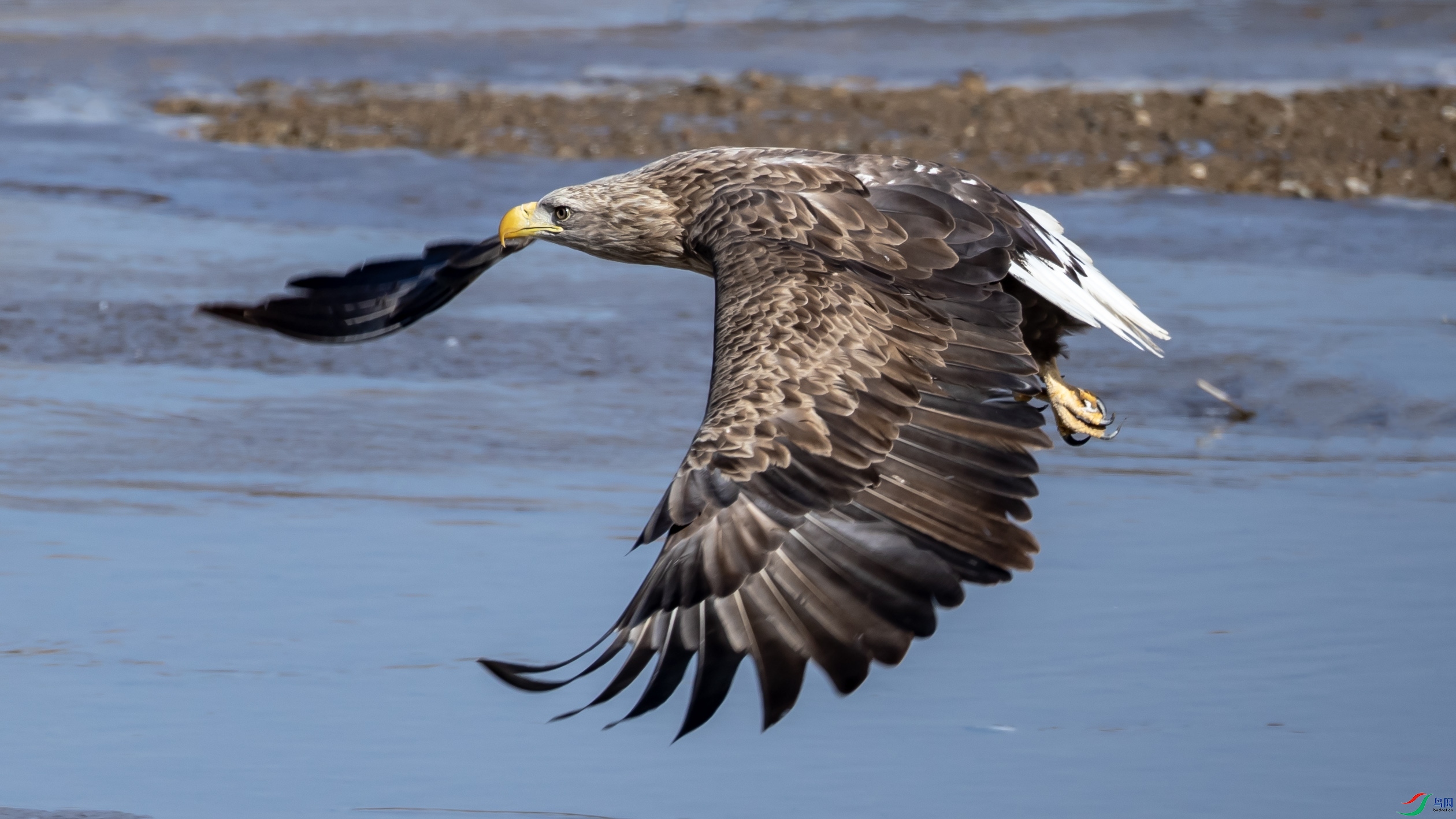 B26I7301 ��β����0018.jpg