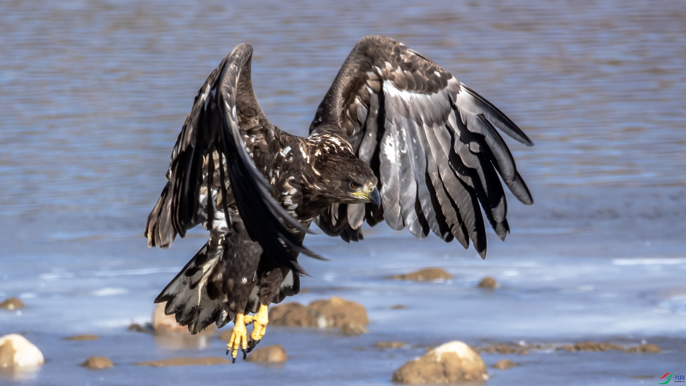 B26I7337 չ���ٷ� ��β����.jpg