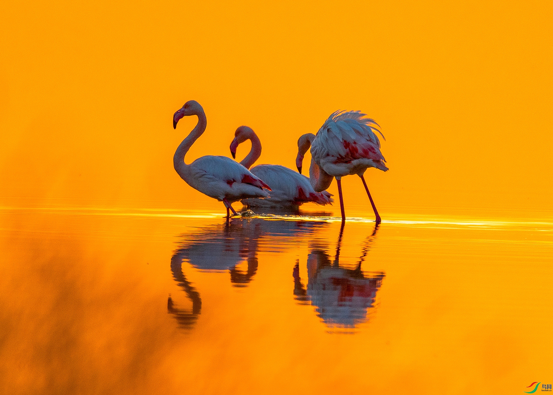 IMG_6548 ����.jpg