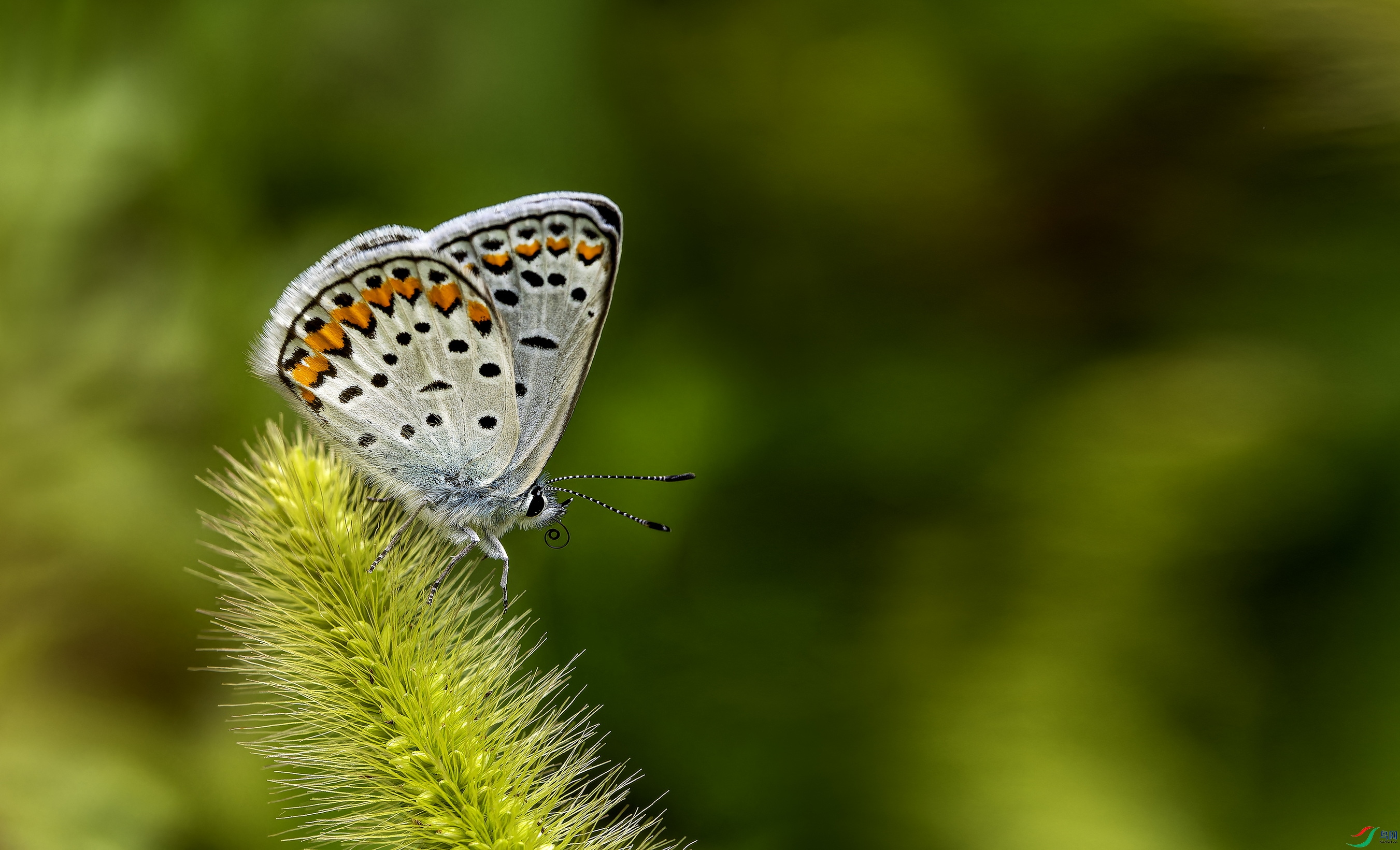 ���ۻҵ� (1472)-01.jpg