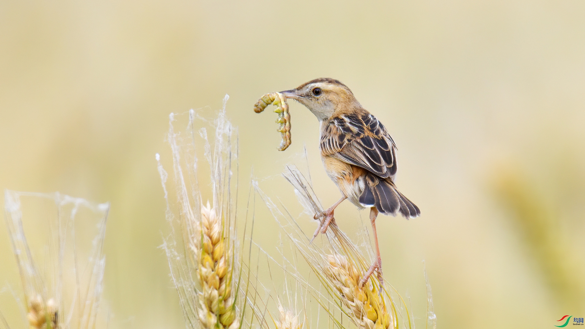 DSC_1223-20270708�� .jpg