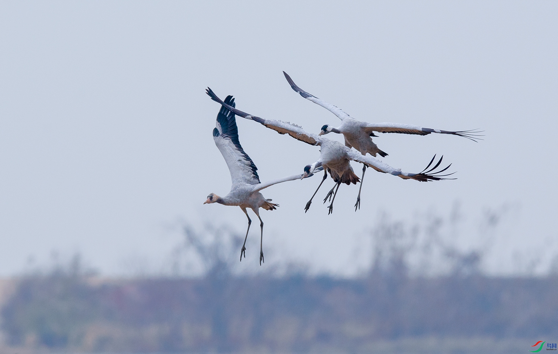 DSC_�Һ� - ����.jpg