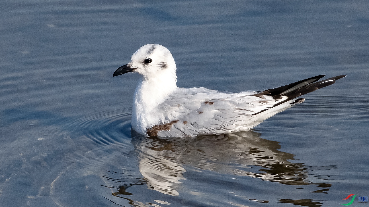DSC_0618---.jpg
