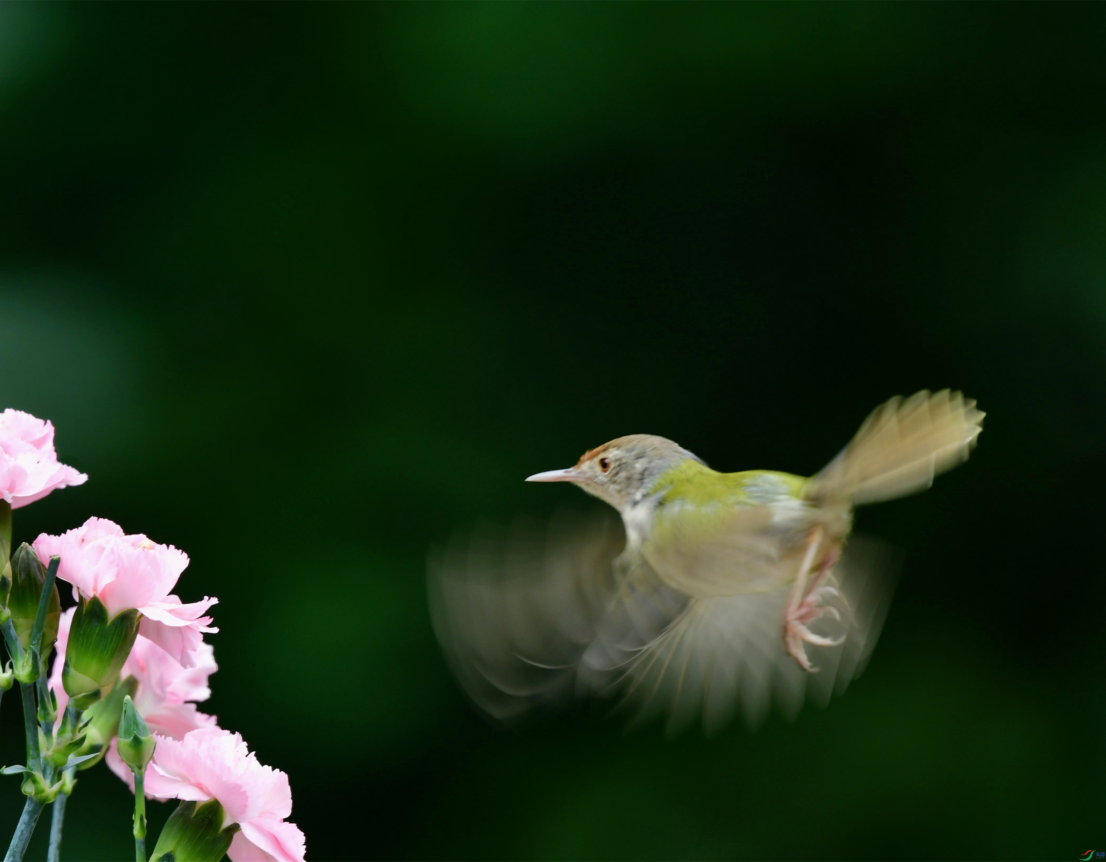 DSC_7084_��ͼ��_����.jpg
