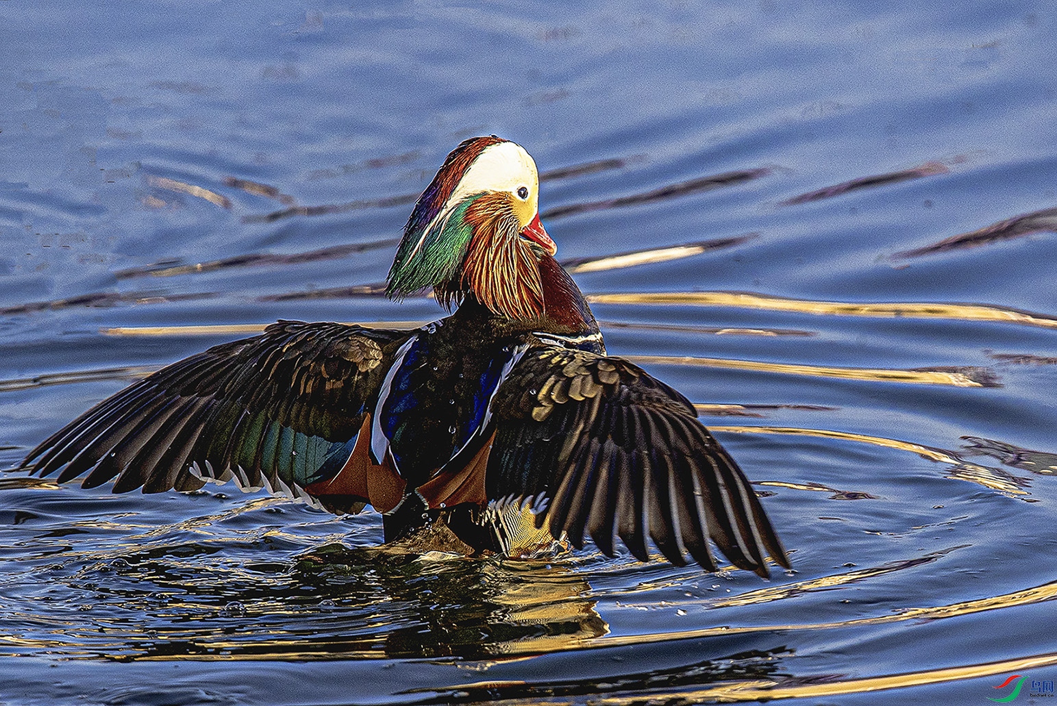 _90I0557 ���� 4.jpg