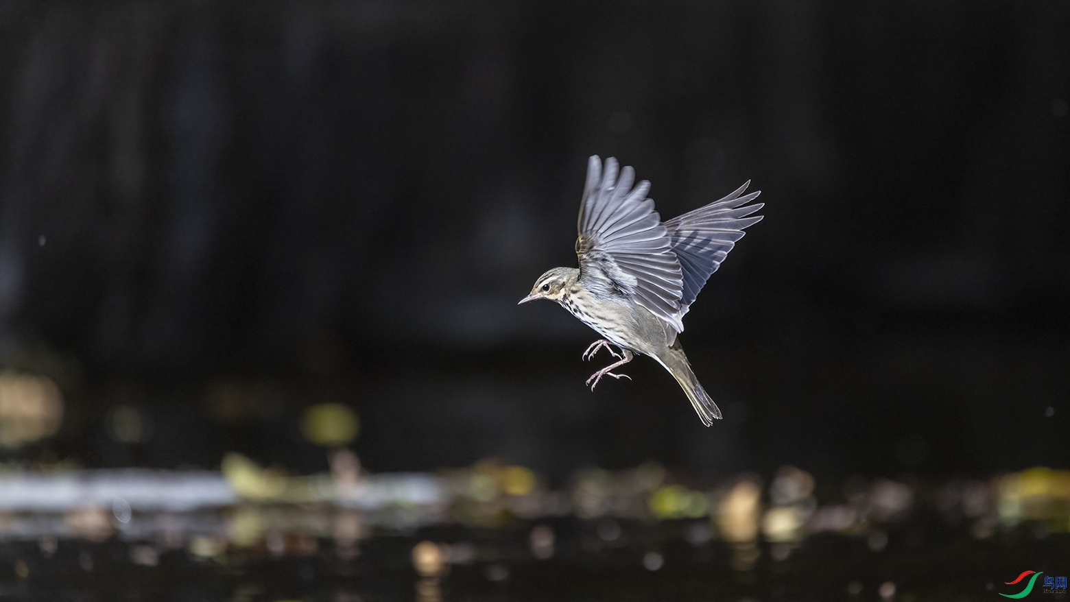 708A3727 ����.jpg