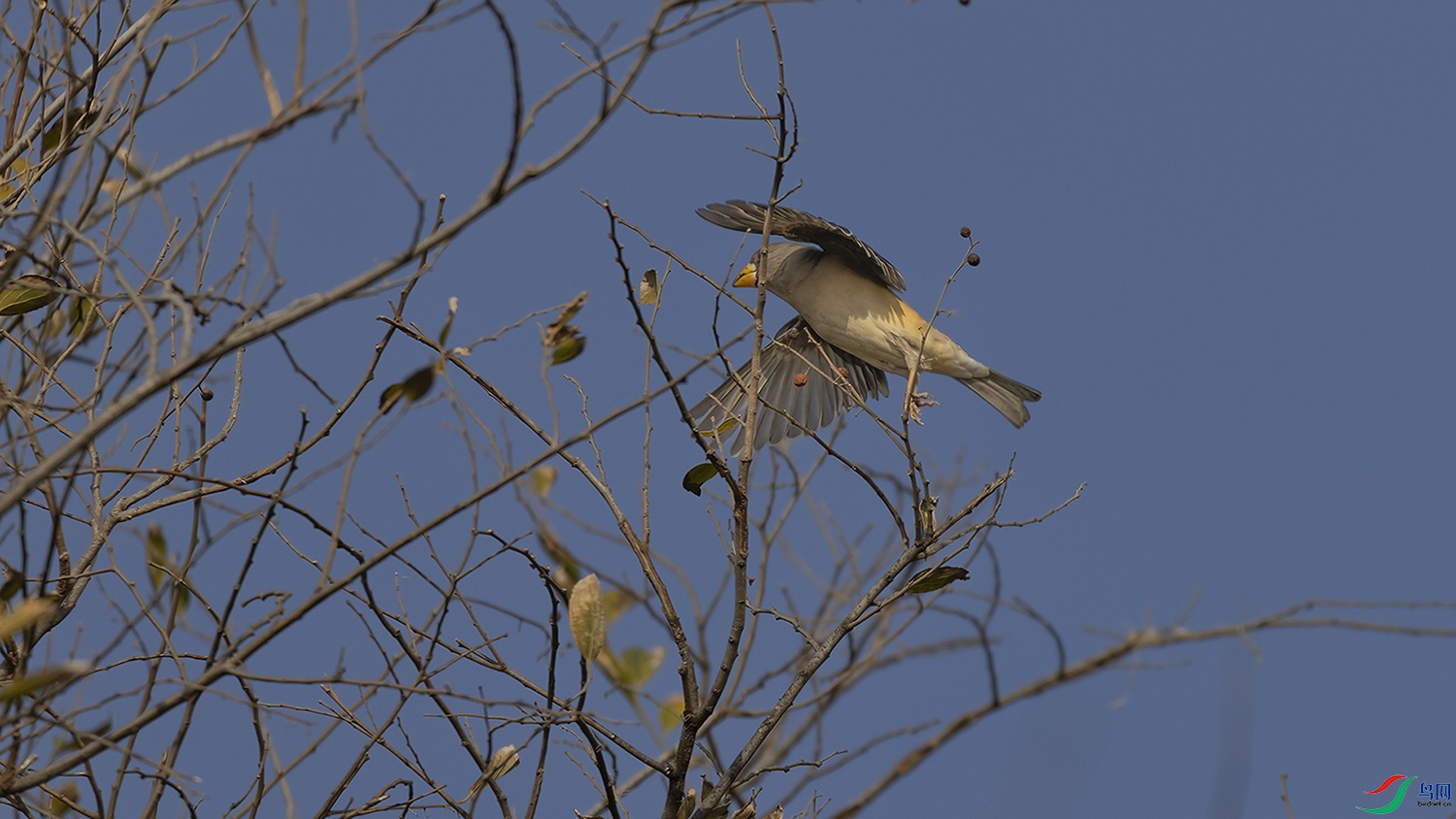 708A3850 ����.jpg