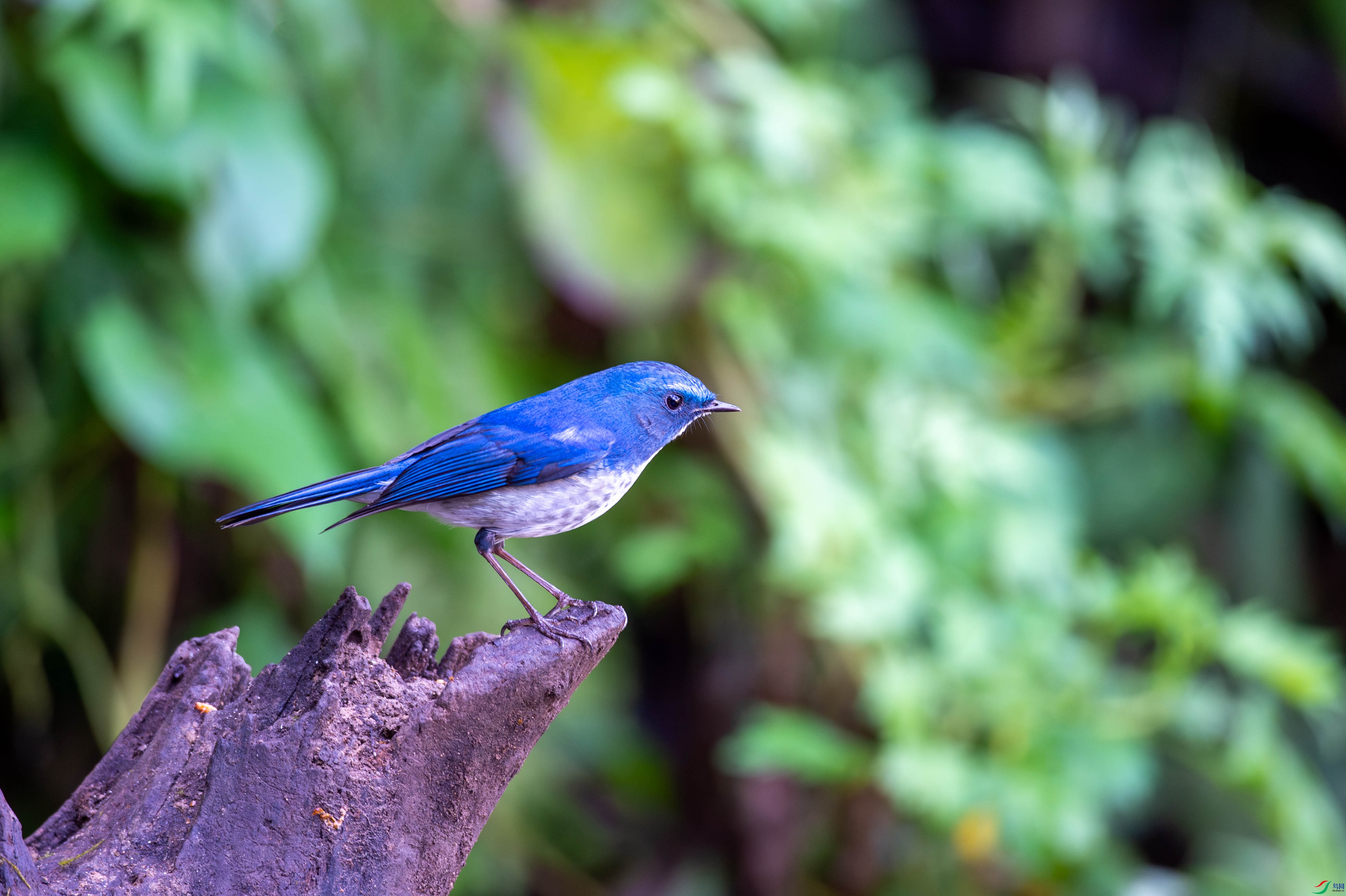 _DSC0339.jpg