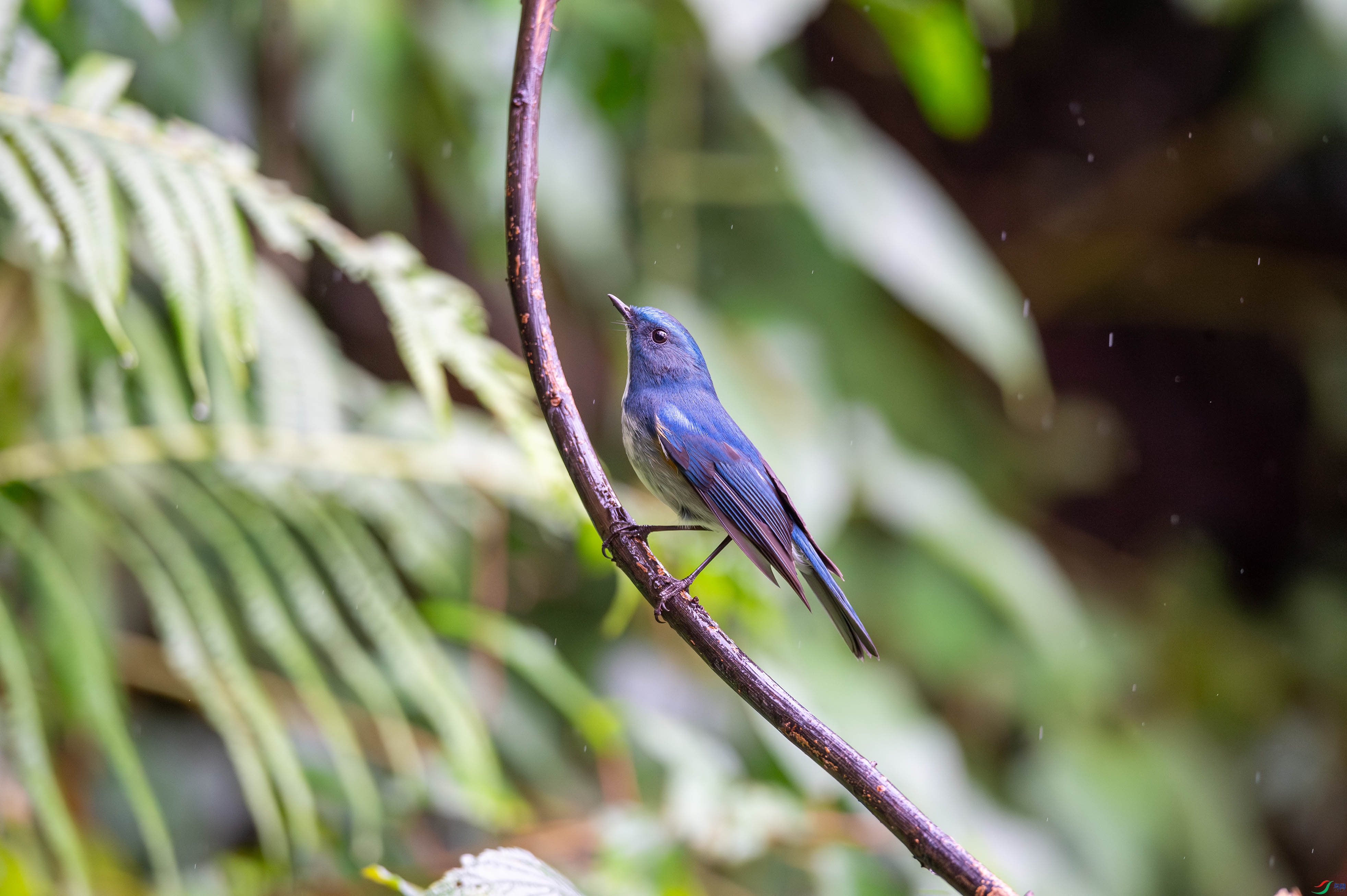 _DSC8061.jpg