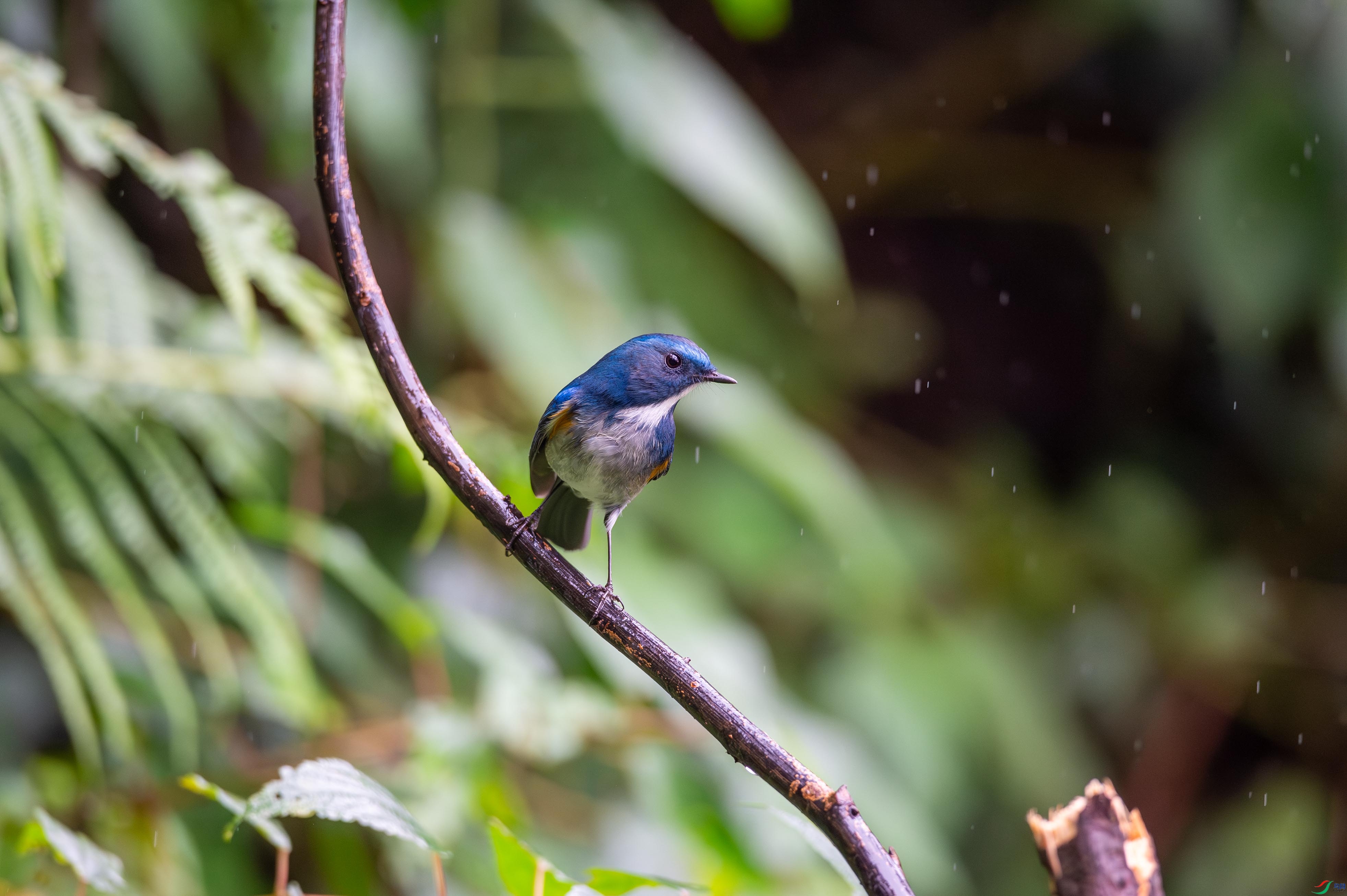 _DSC8063.jpg