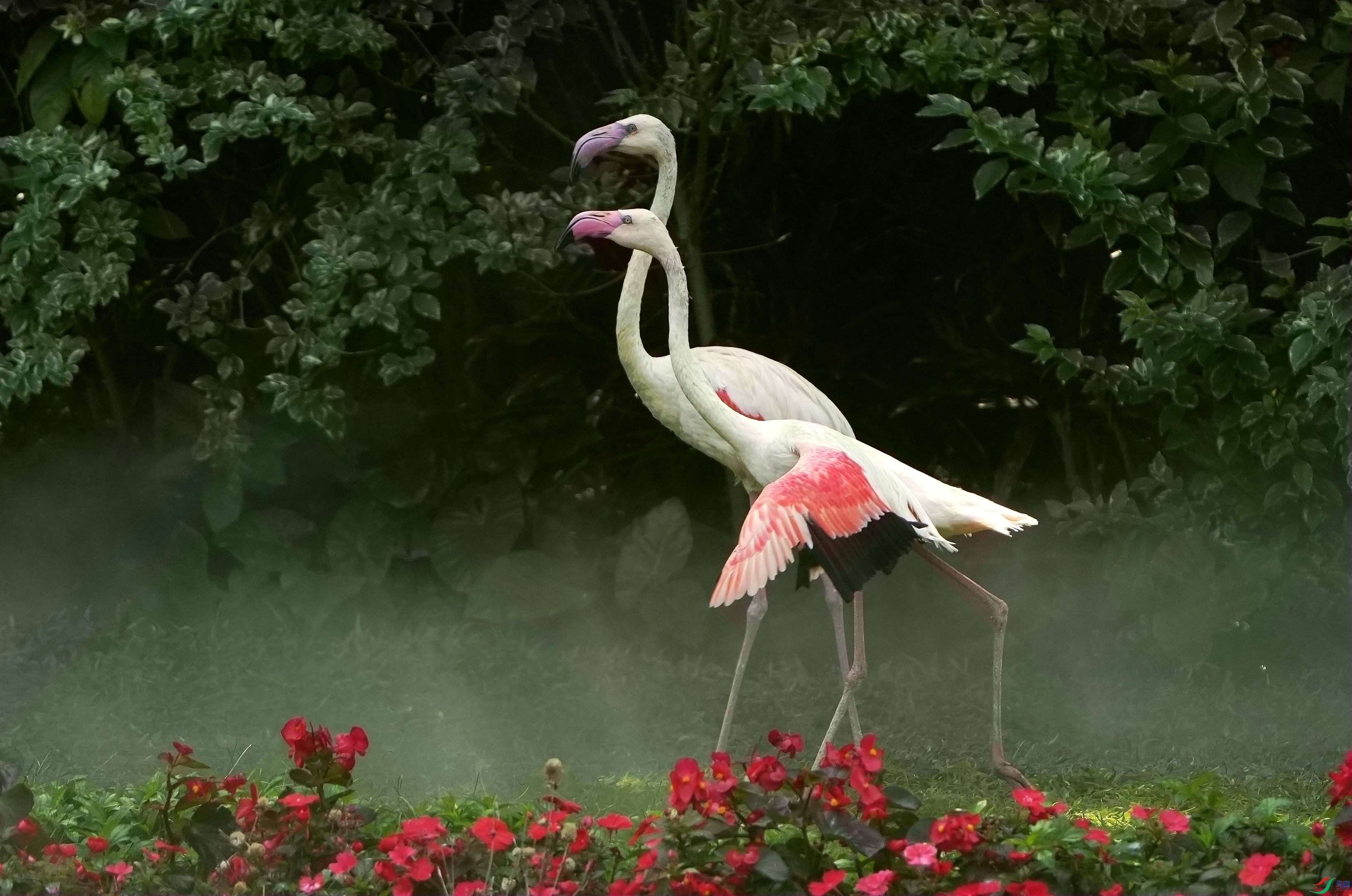 ������DSC09629_����.jpg