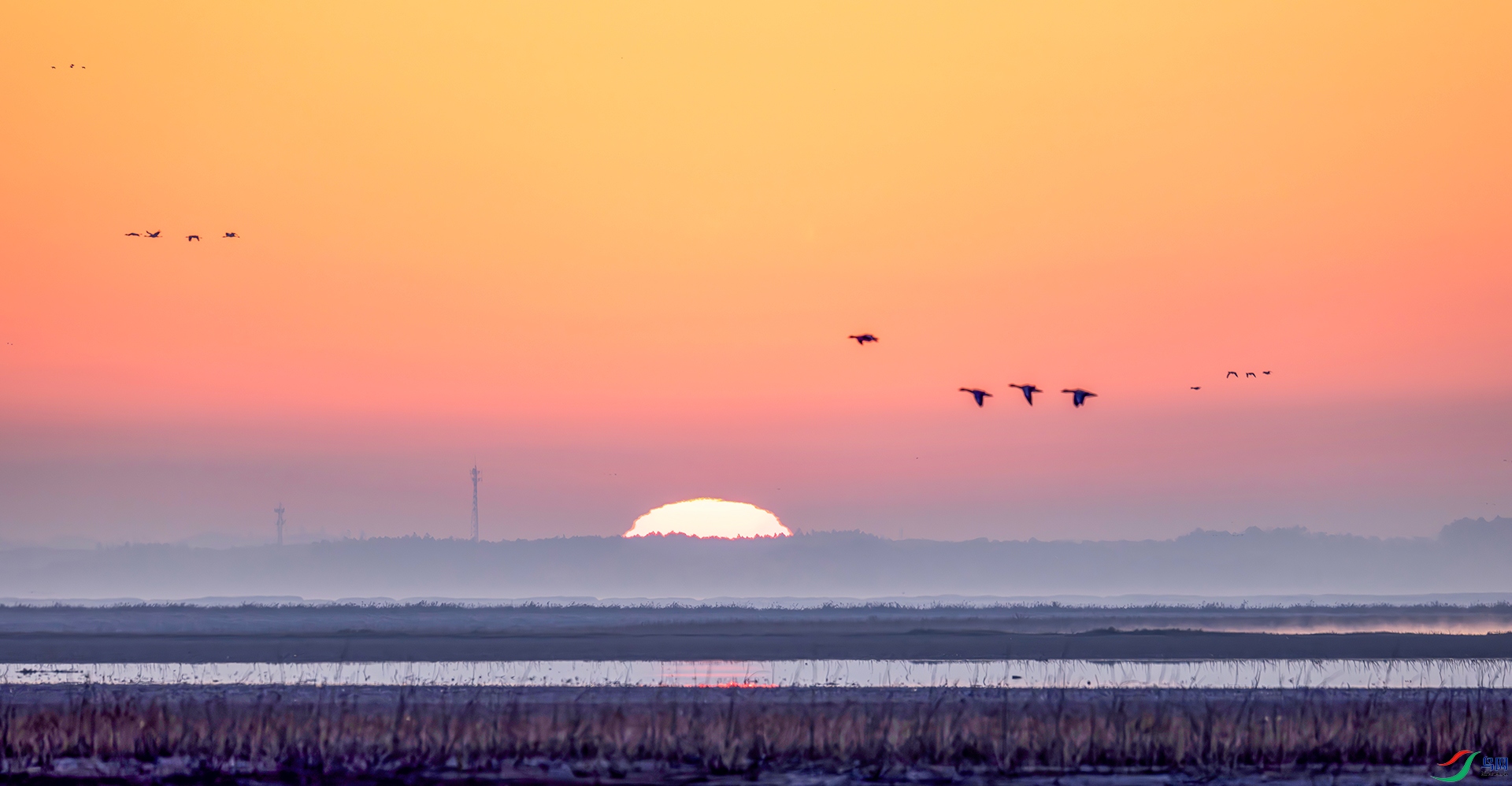 407A4474-----22  .jpg