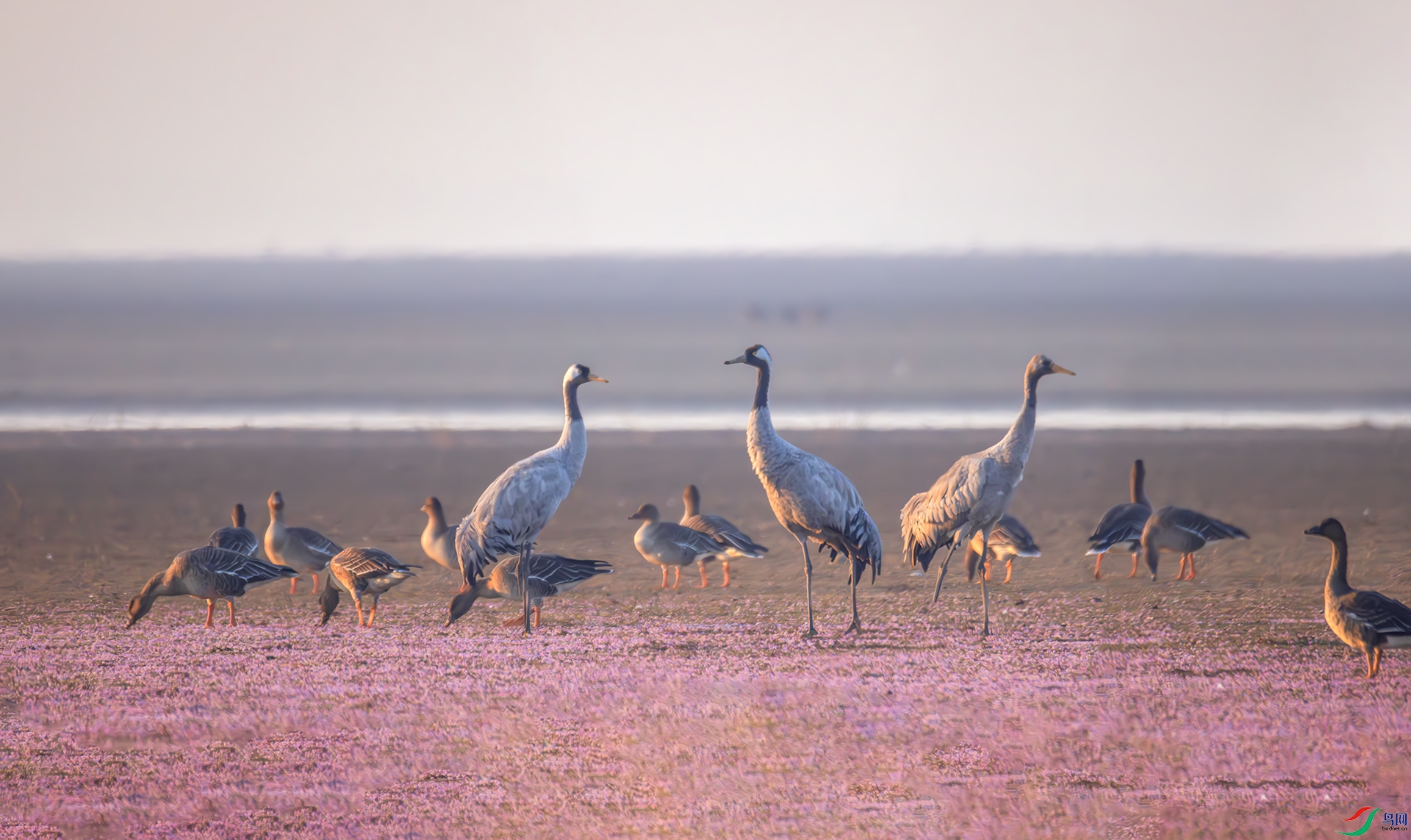 407A4162----22  .jpg