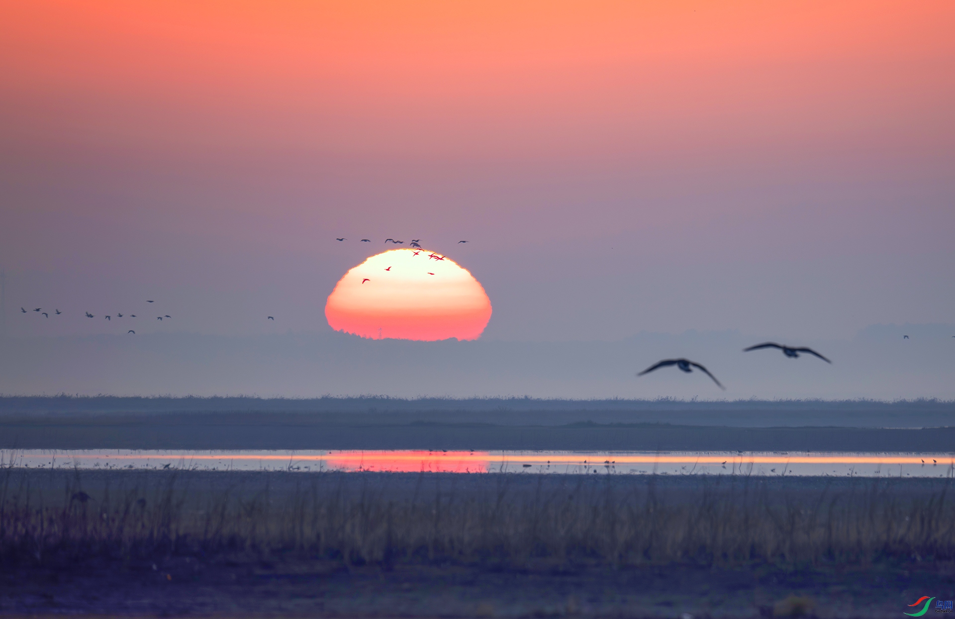 407A3094-----22  .jpg