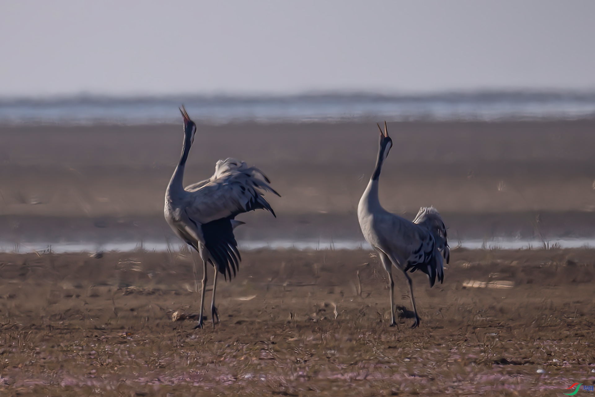 407A1710-����ǿ-----22  .jpg