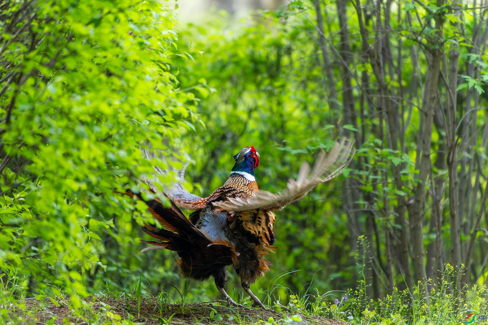 20240426-DSC01413 ����.jpg