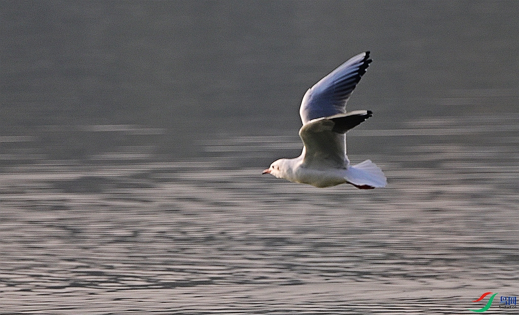 DSC_2802.JPG
