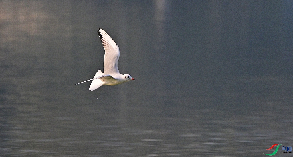 DSC_2957.JPG