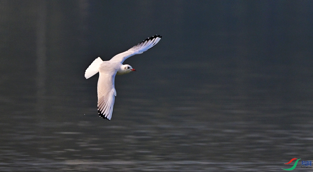 DSC_2958.JPG